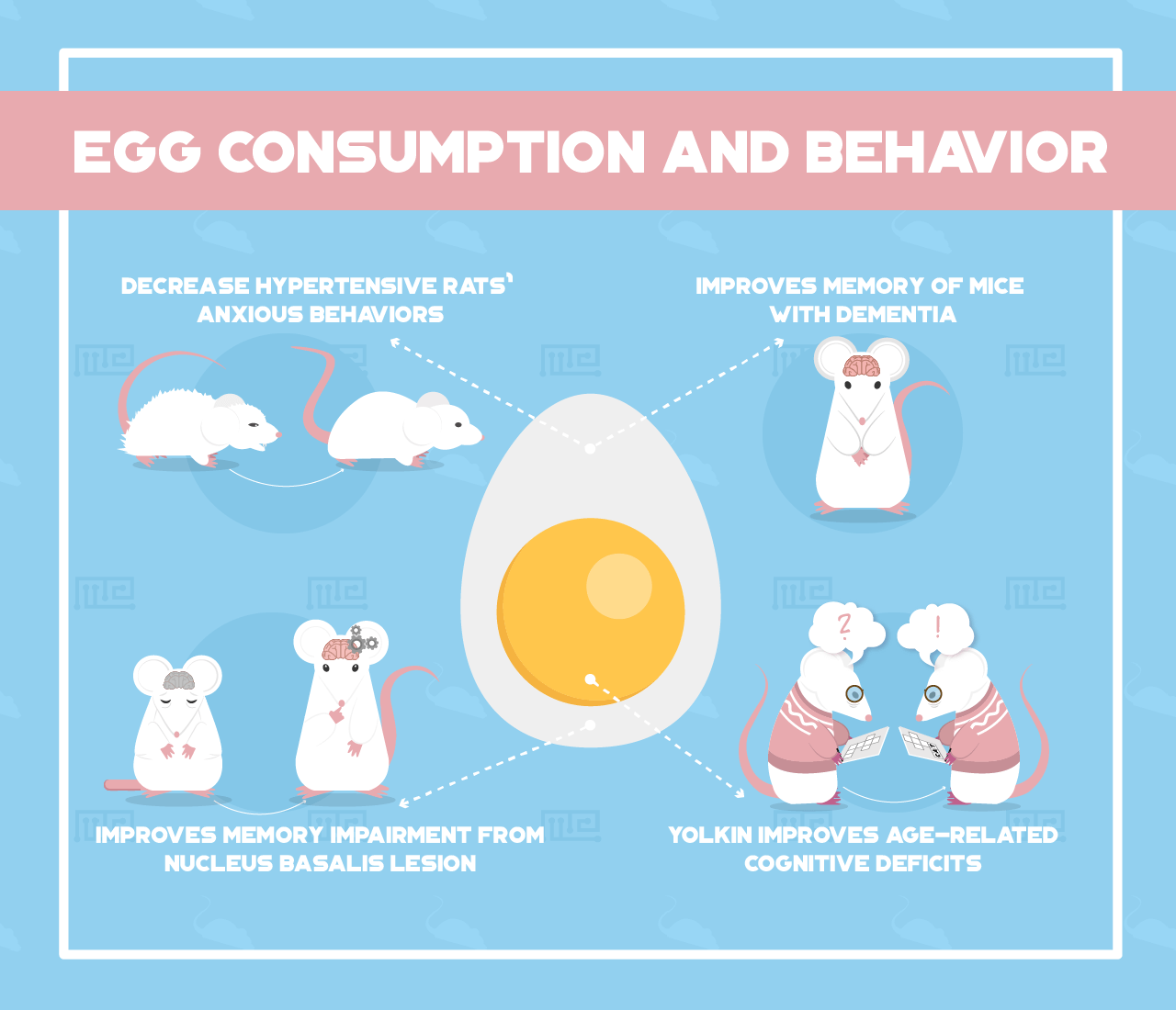 Egg-Consumption-and-Behavior