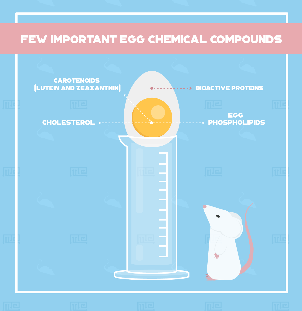 Few-Important-Egg-Chemical-Compounds-phosphatidylcholine anxiety