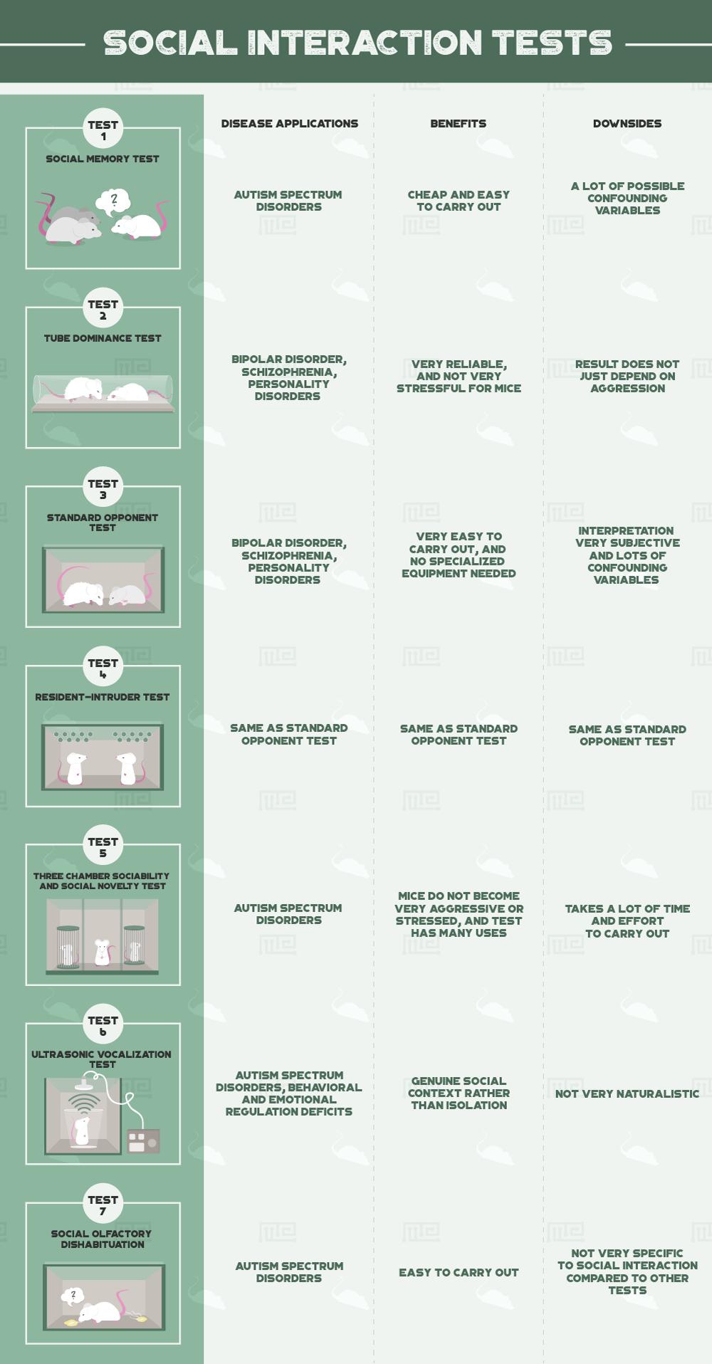 social interaction tests
