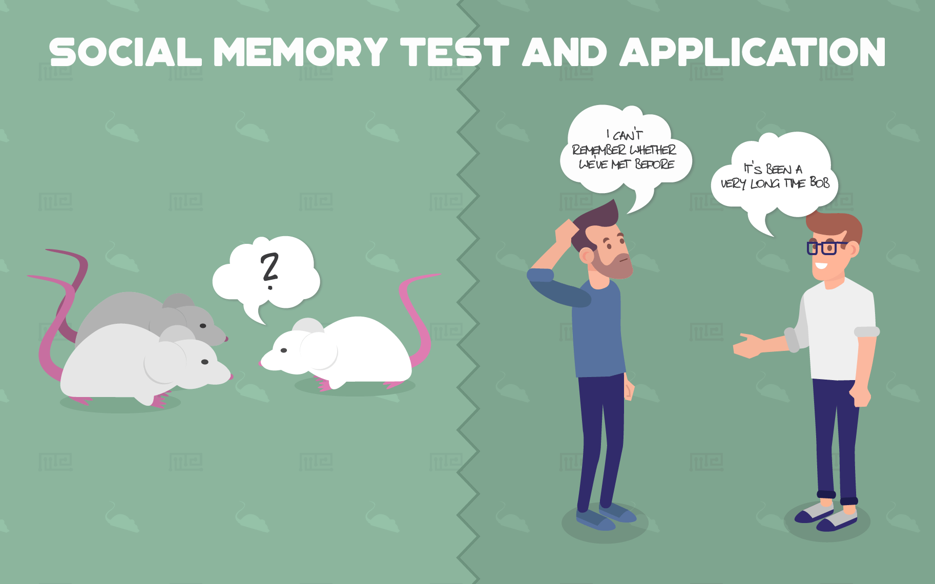 social interaction test - memory test