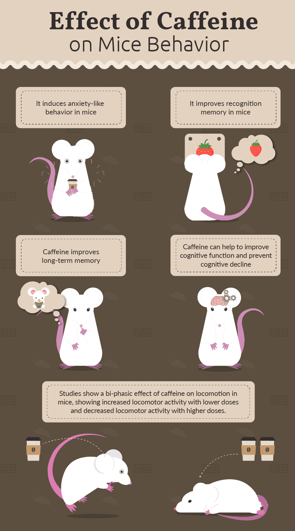 effect of caffeine on behavior