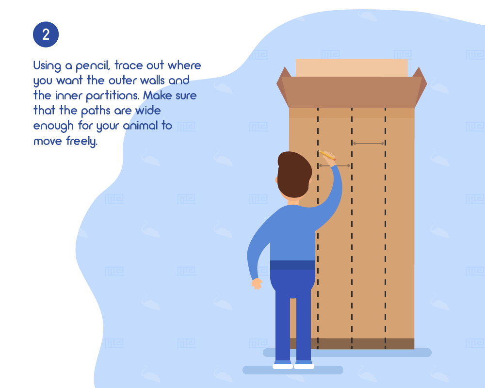 DIY build a mouse maze from cardboard
