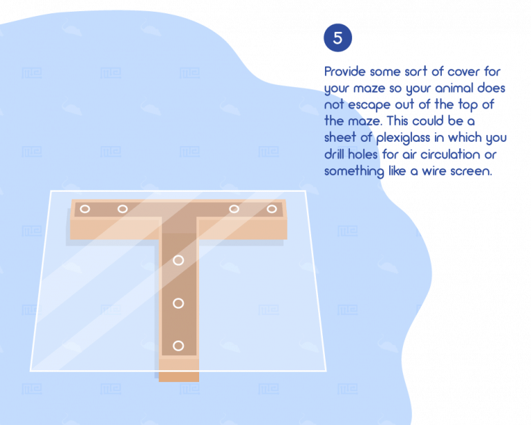 DoItYourself How to Build a Rat Maze Maze Engineers