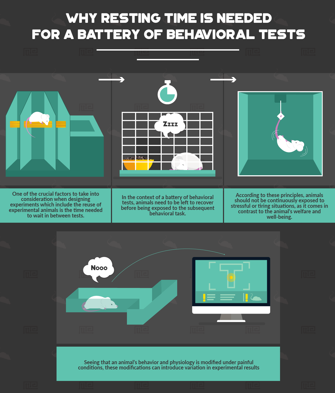why resting time for mice is needed in a battery of behavioral tests