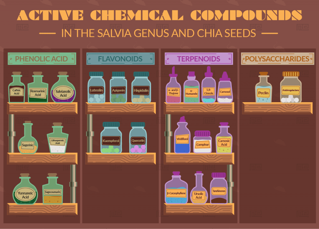 Chia Seed's Ability to Affect Cognition and Behavior Maze Engineers.