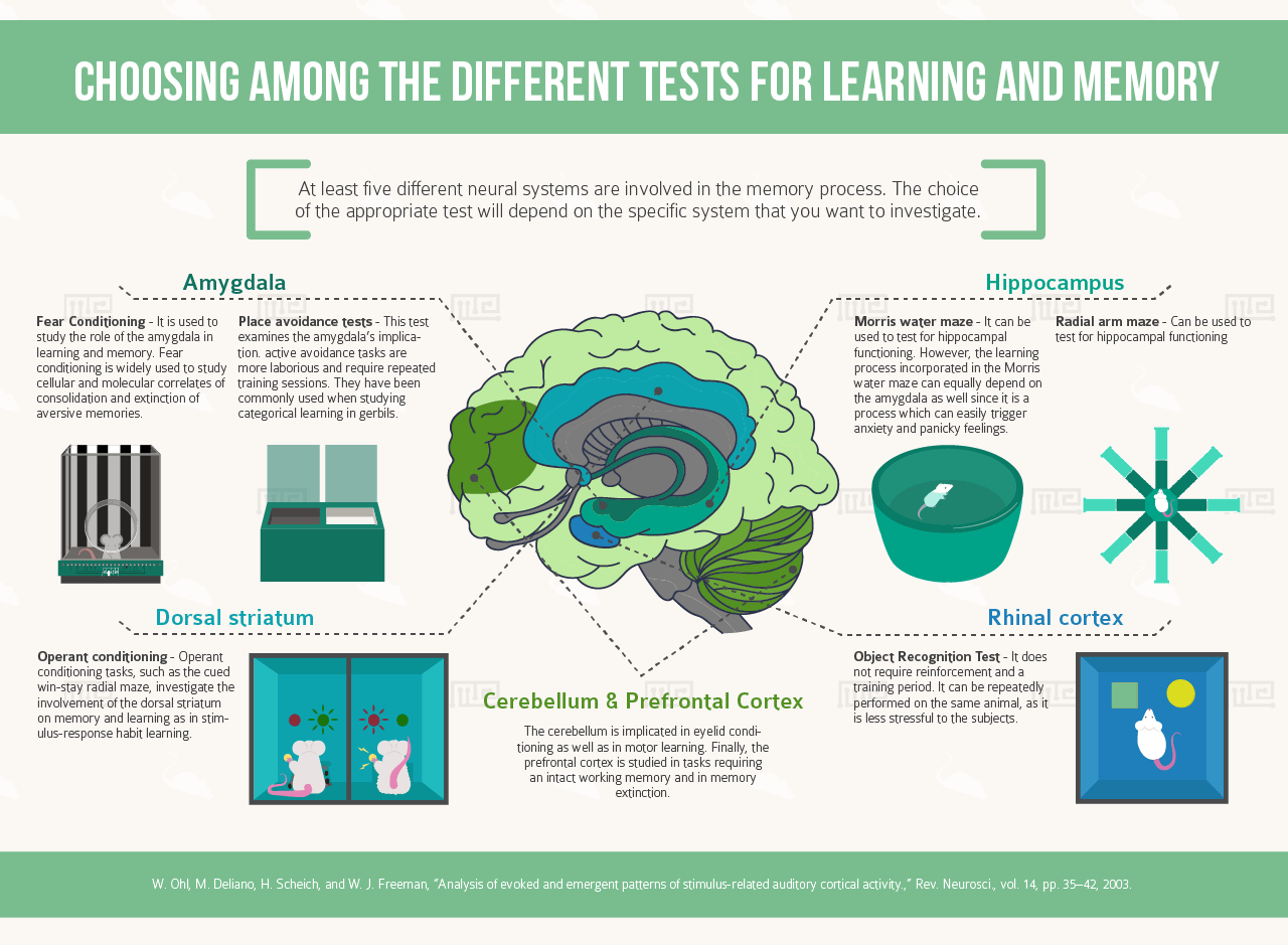 different tests for a particular phenotype