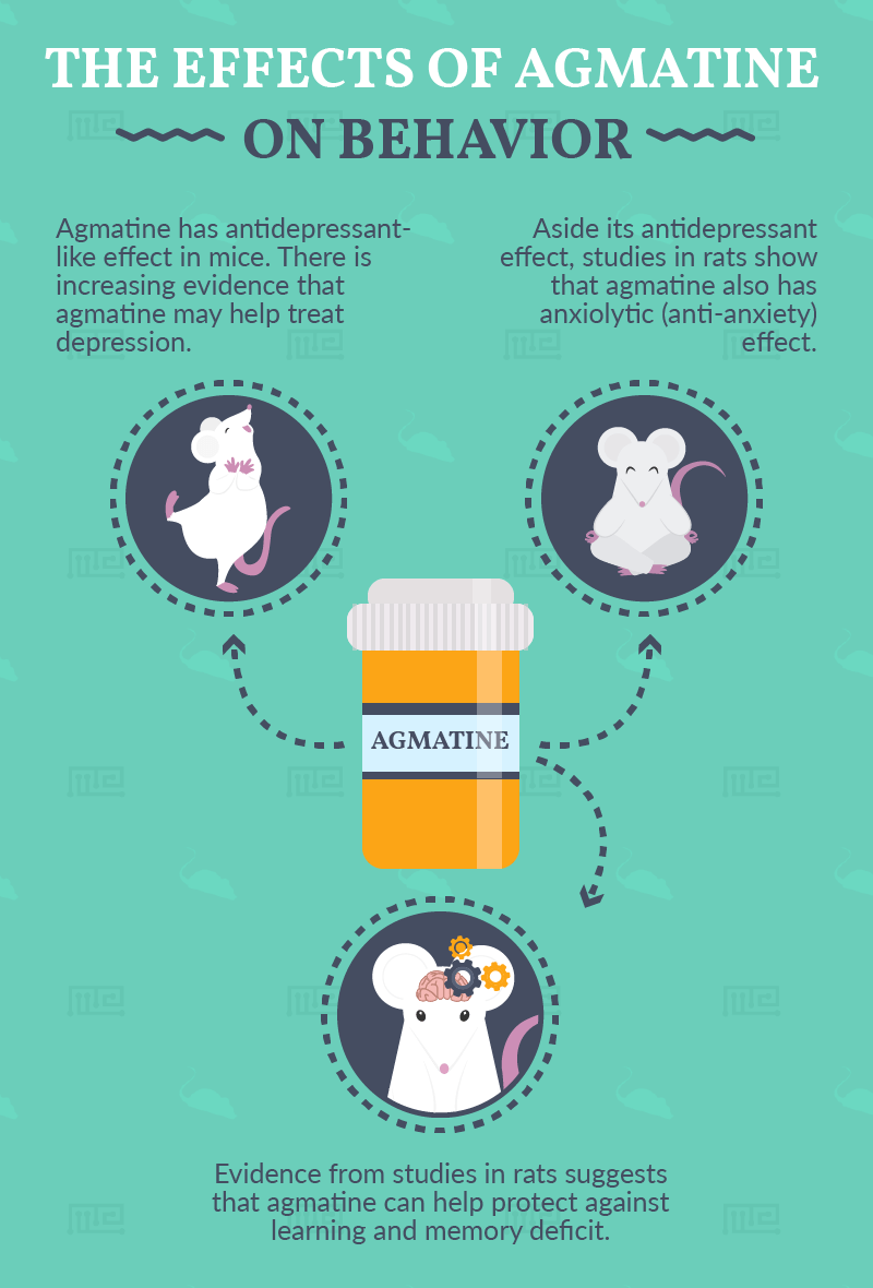 effects of agmatine on behavior