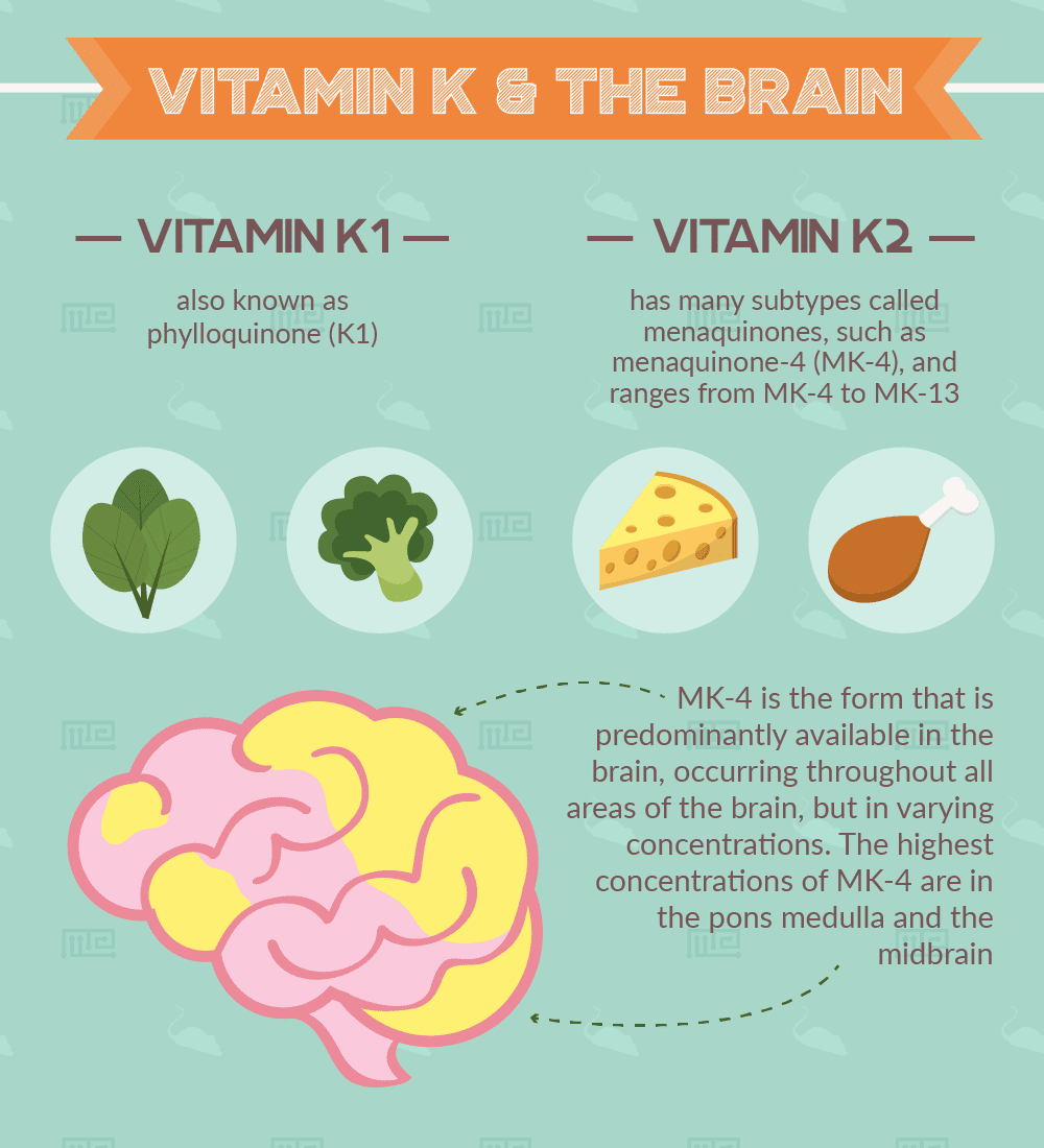 vitamin k cognition