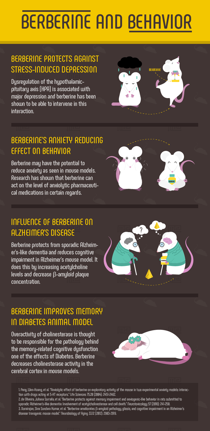 berberine and cognition