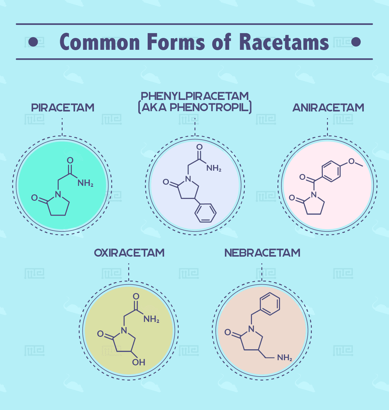 Racetam Effects on Behavior