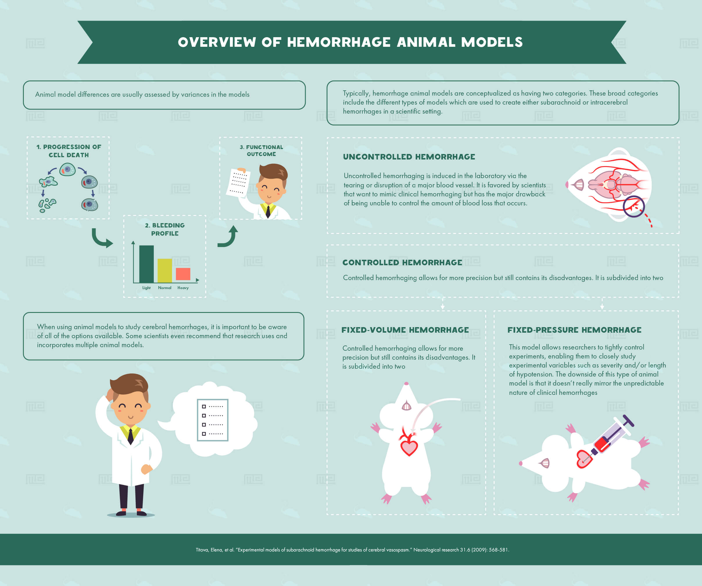 animal models of hemorrhage