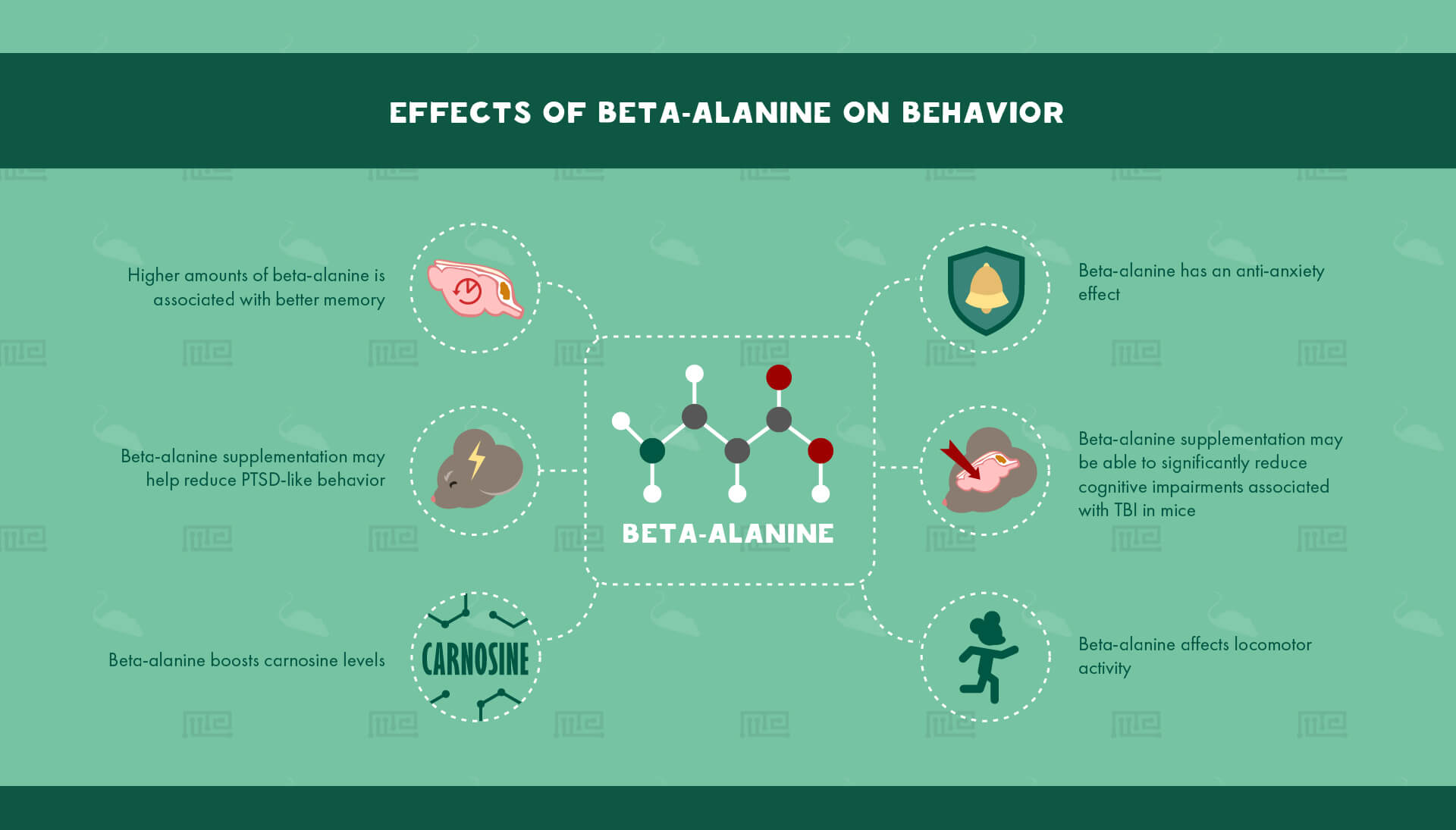 1_Effects of Beta-Alanine on Behavior