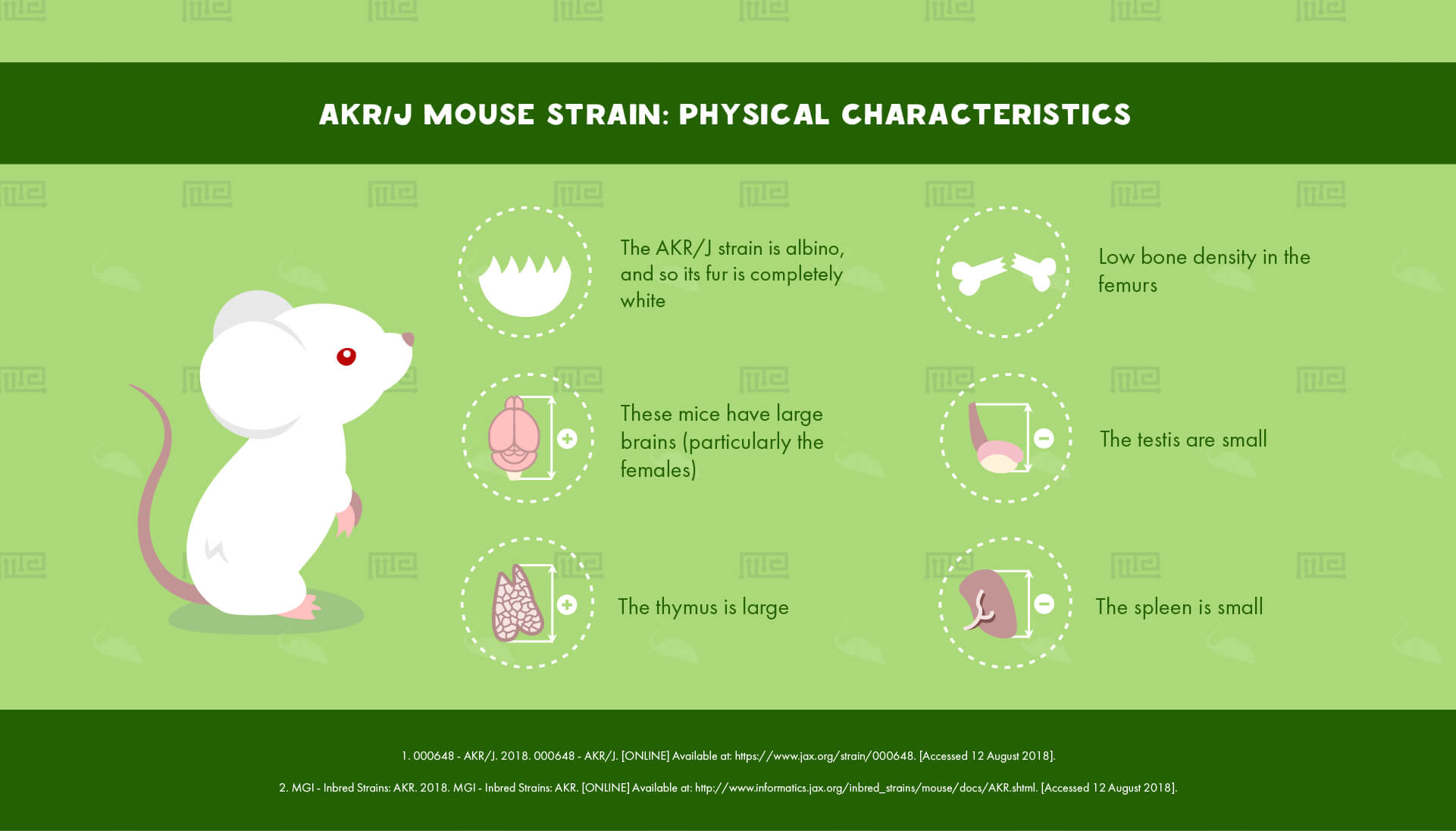 AKR/J Mouse Strain : Physical Characteristics