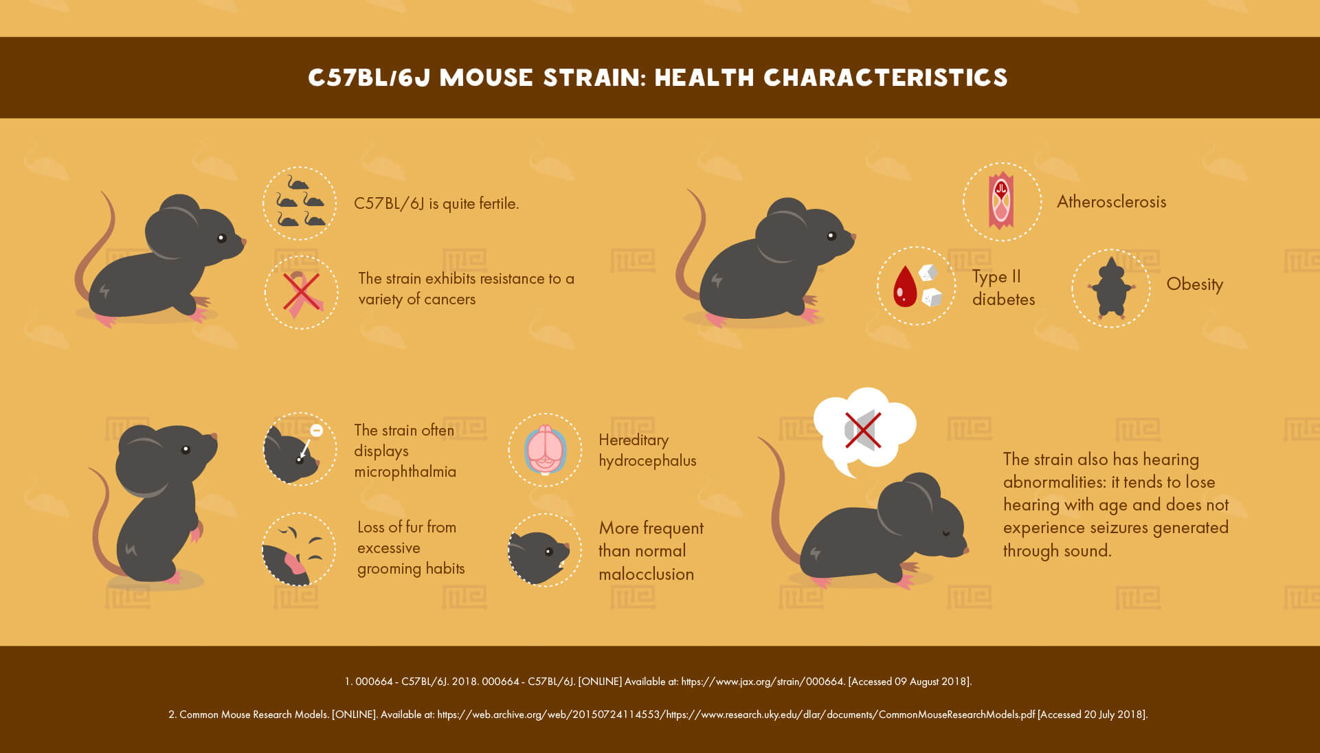 C57BL/6J Mouse Strain : Health Characteristics