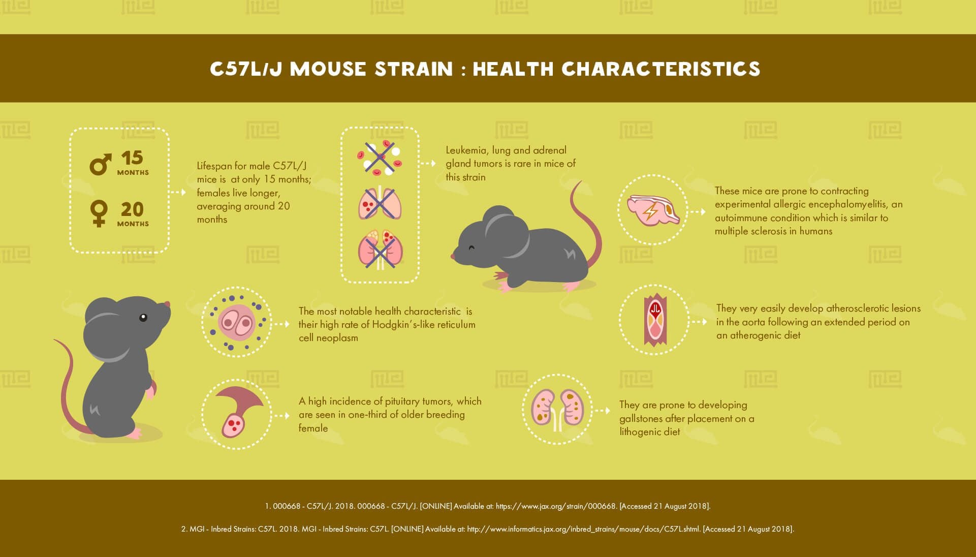 C57L/J Mouse Strain : Health Characteristics