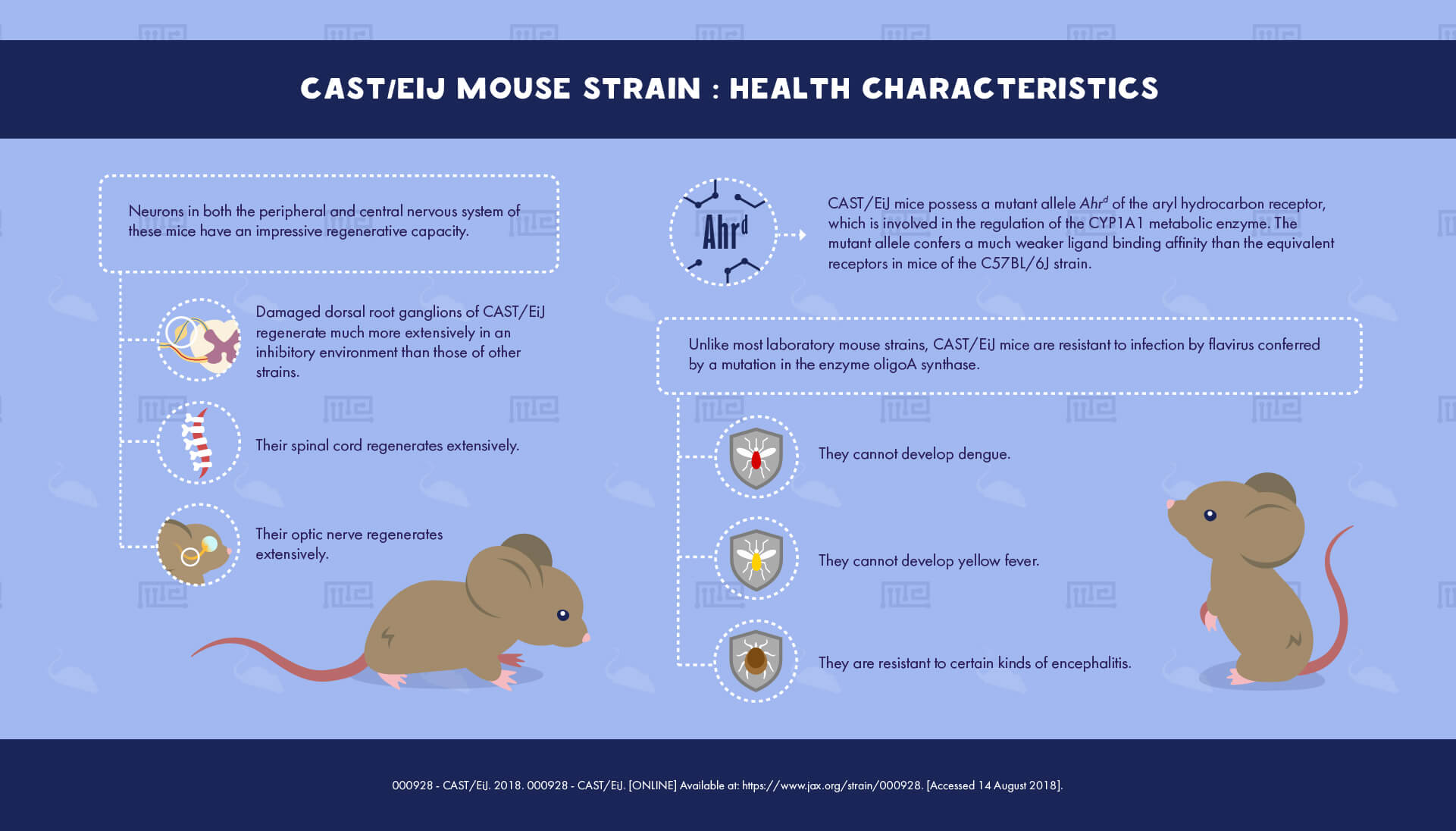 CAST EiJ Mouse Strain - Health Characteristics