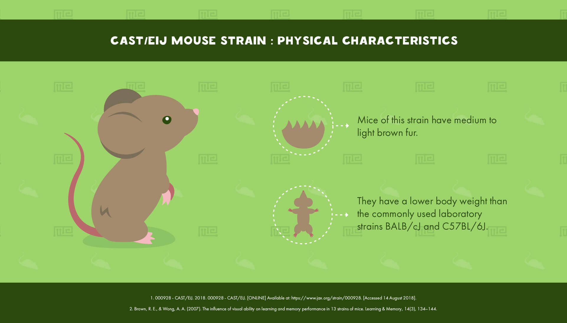 CAST EiJ Mouse Strain - Physical Characteristics