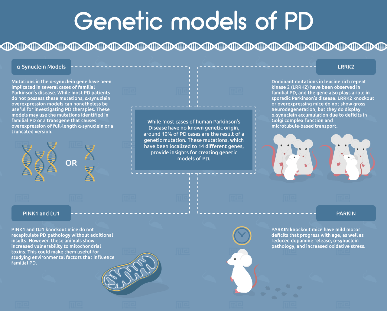 Genetic models of Parkinsons disease