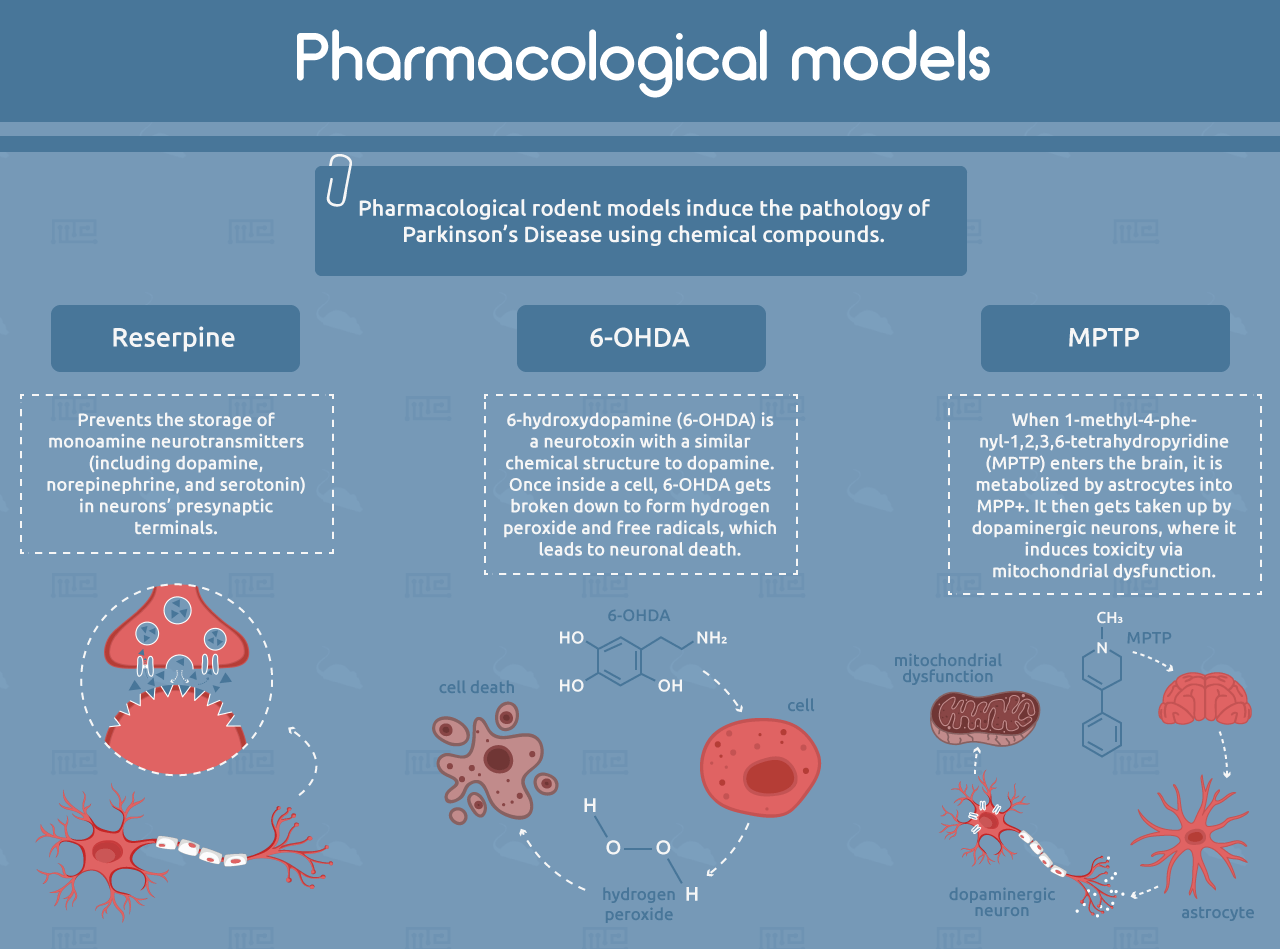 pharmacological models of parkinsons disease