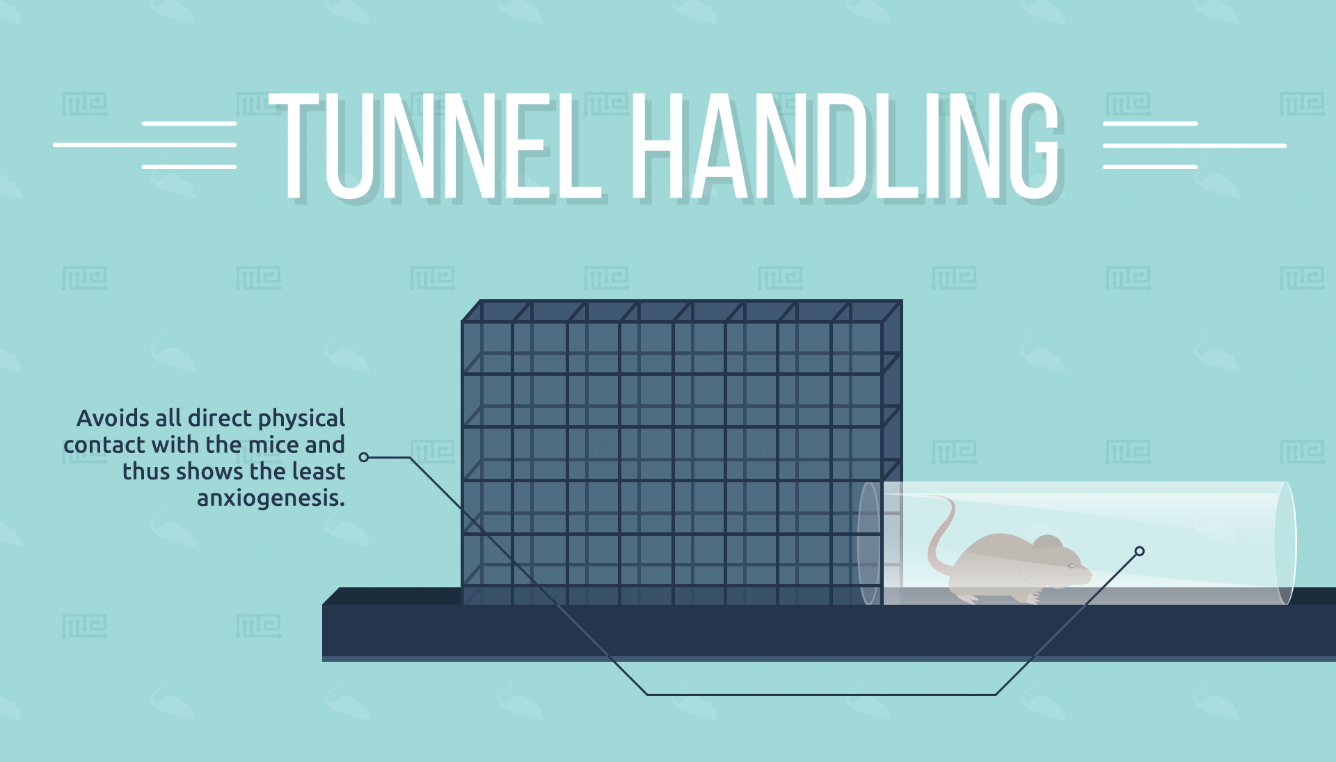 Tunnel-Handling