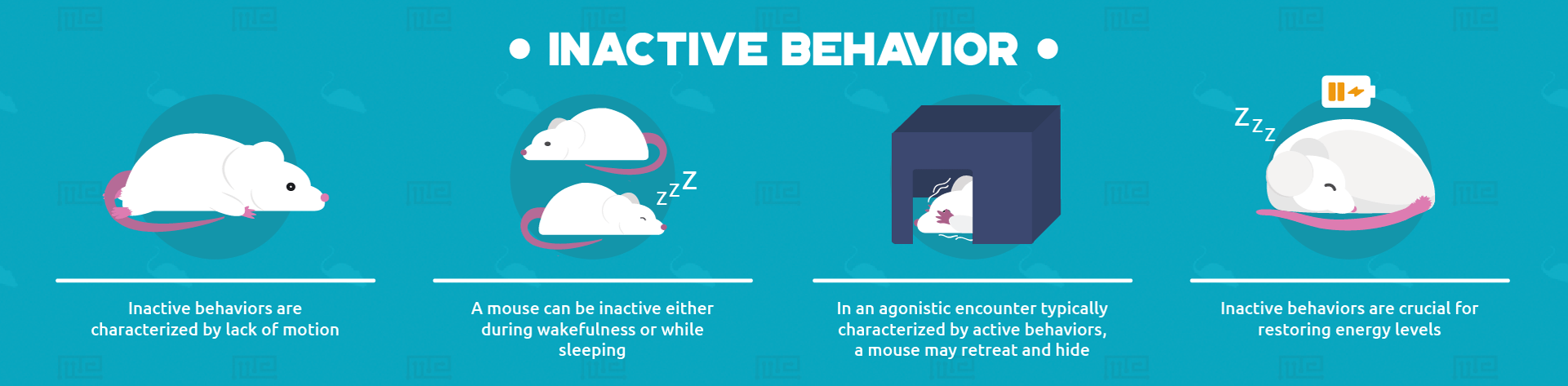 inactive behaviors infographic