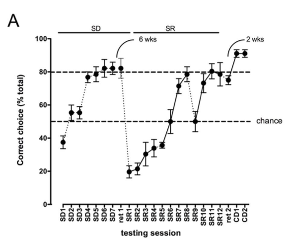 Performance of sheep as an animal model