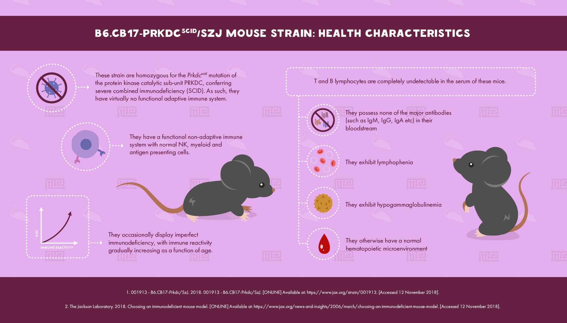1_B6.CB17-Prkdcscid SzJ Mouse Strain- Health Characteristics