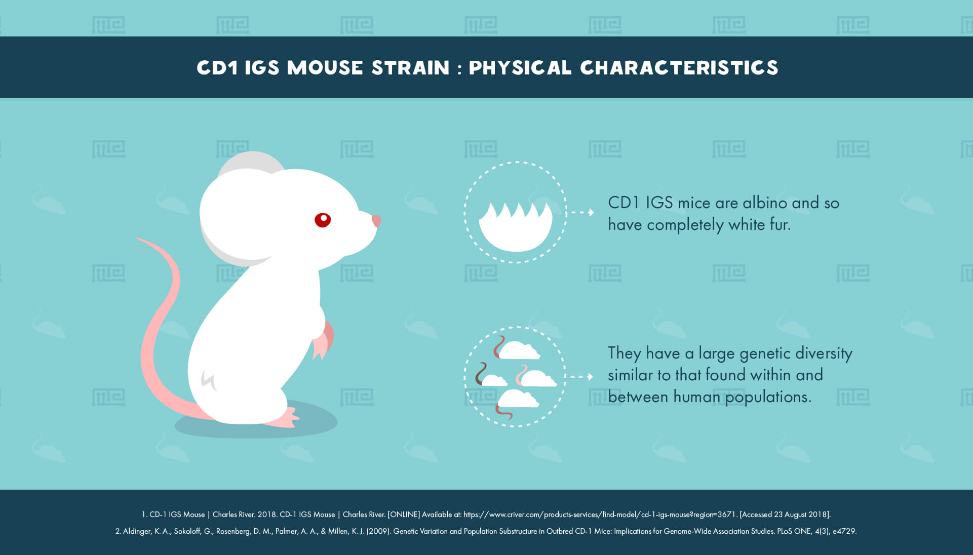 CD1 IGS Mouse Strain - Physical Characteristics