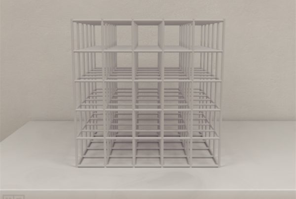 The cubic maze is used to compare the spatial cognitive ability of hummingbirds and rodents in a three-dimensional space