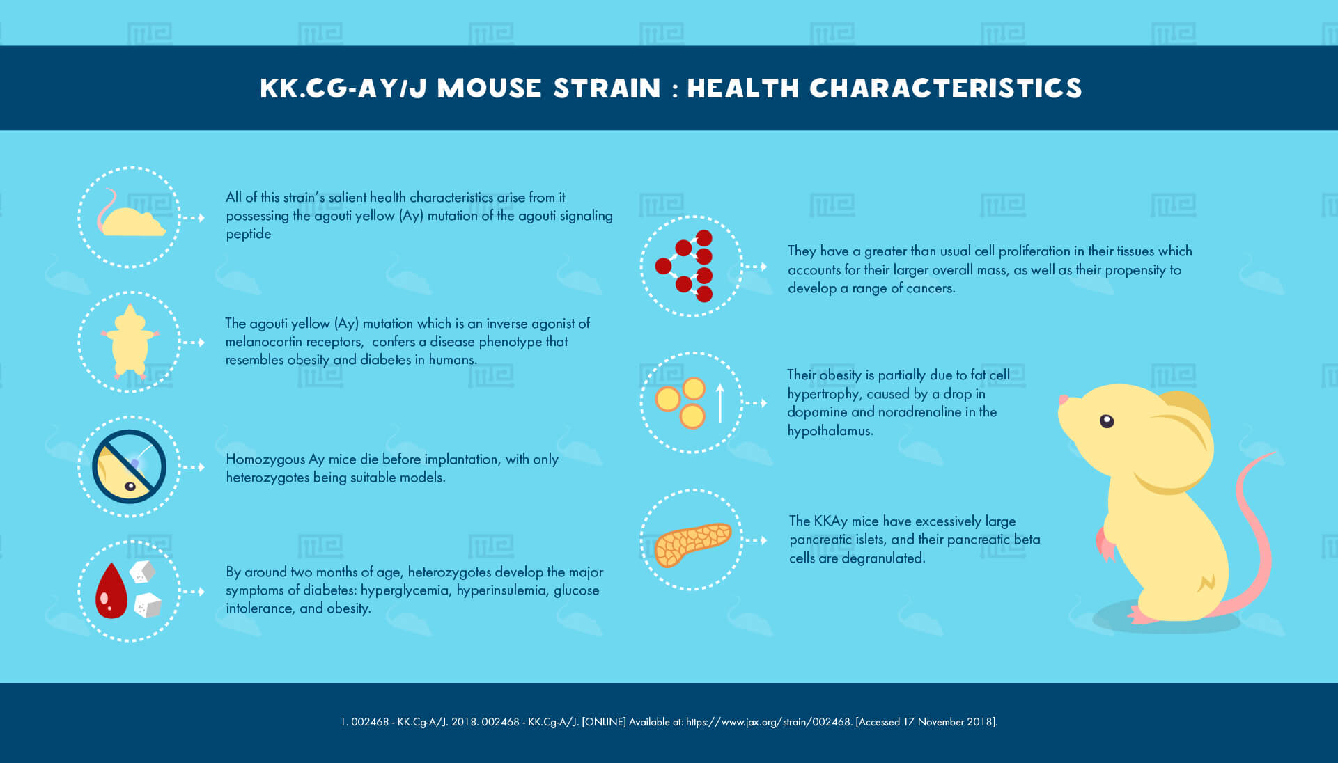 KK.Cg-Ay/J Mouse Strain - health Characteristics