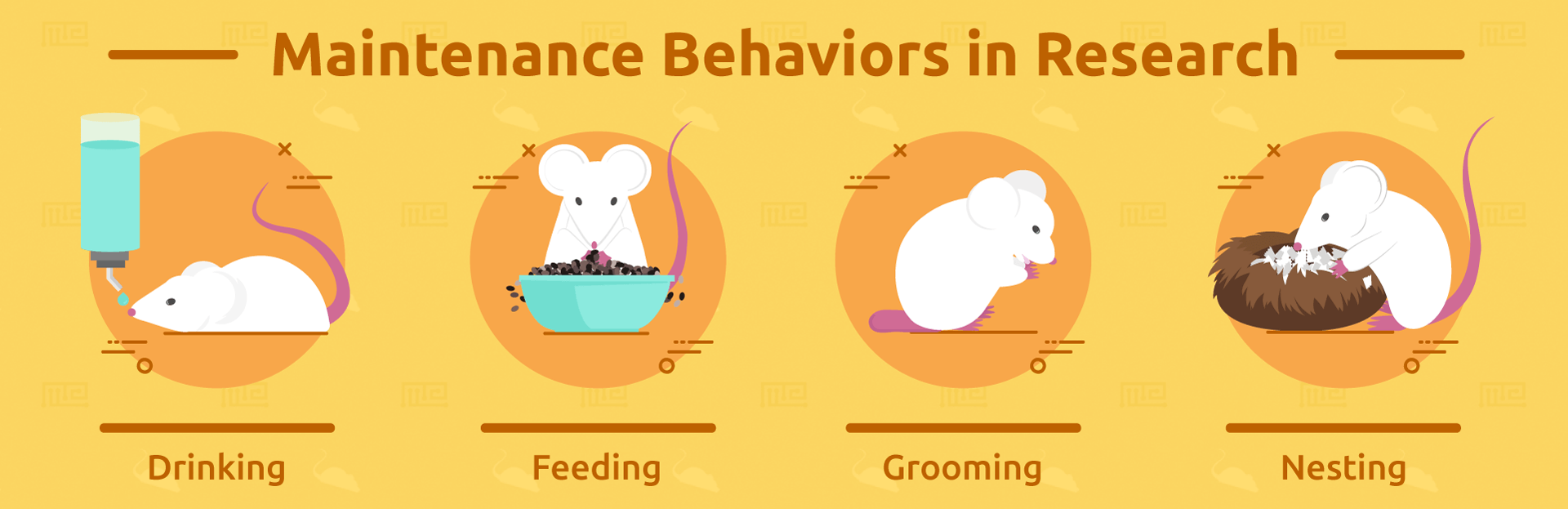Maintenance-Behaviors-in-Research