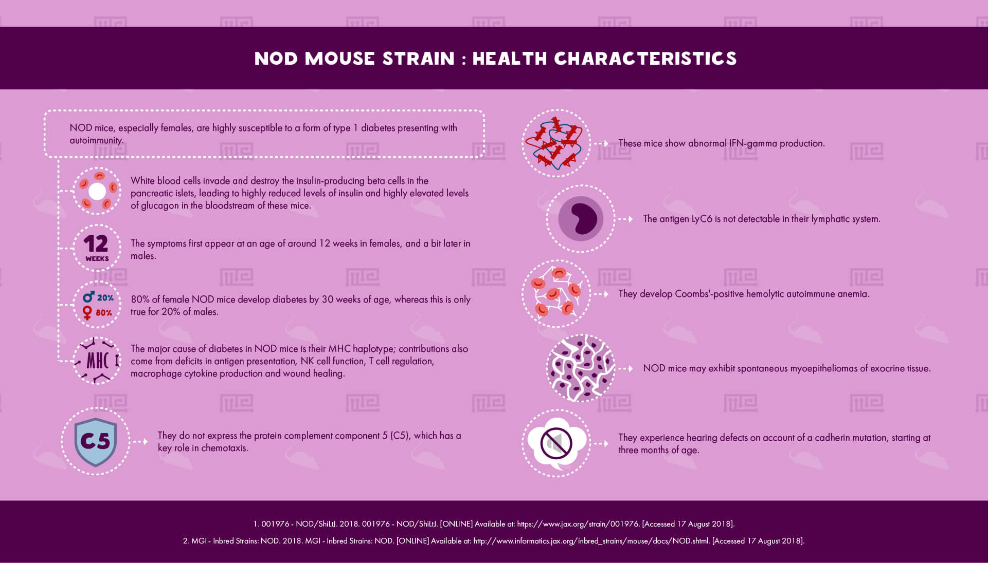 NOD Mouse Strain Health Characteristics