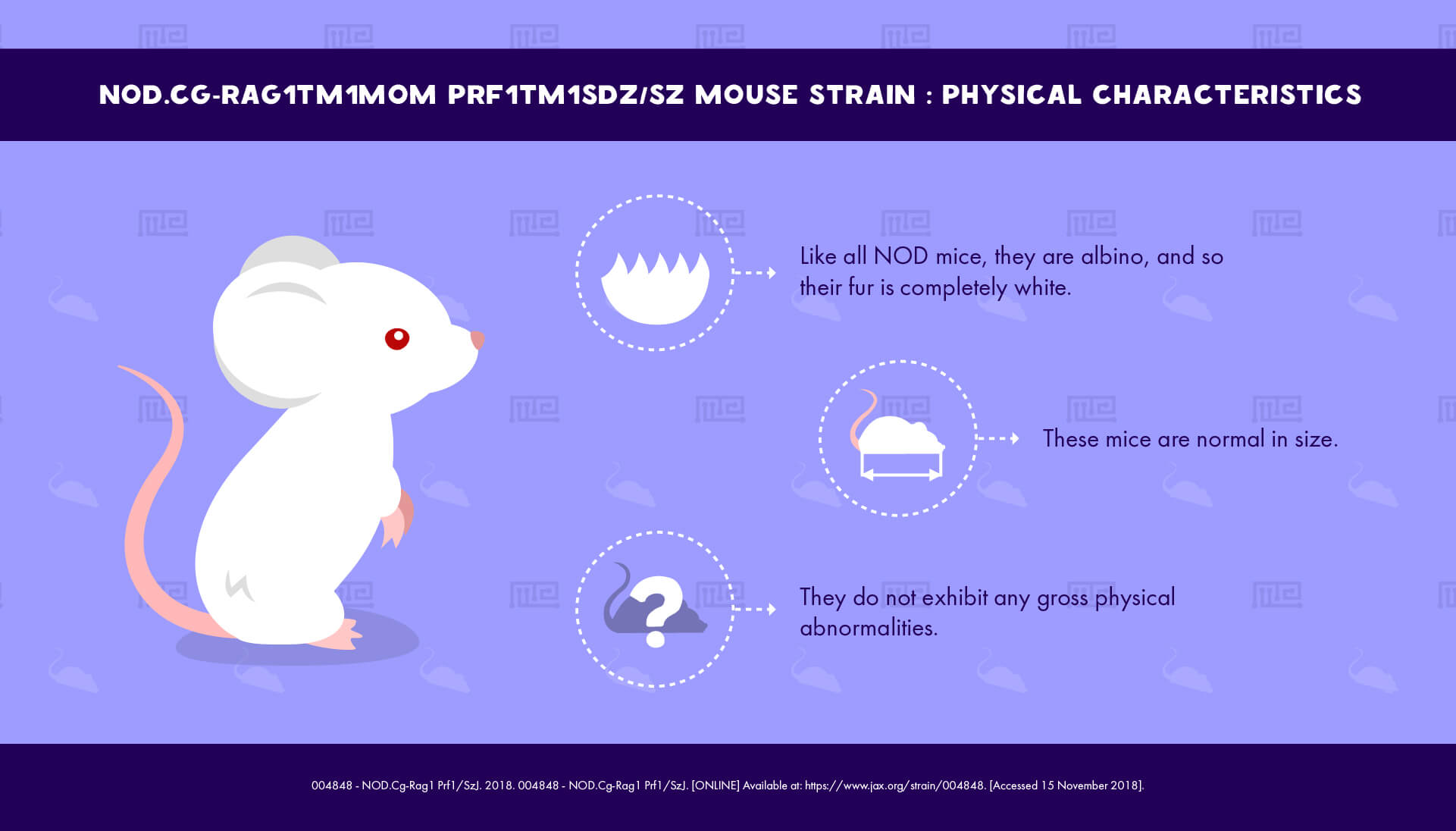 NOD.Cg-Rag1tm1Mom Prf1tm1Sdz Sz Mouse Strain - Physical Characteristics