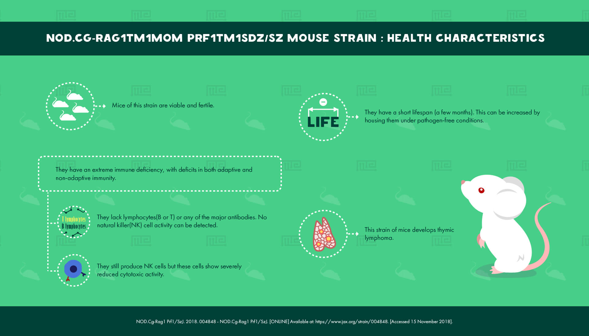 NOD.Cg-Rag1tm1Mom Prf1tm1Sdz Sz Mouse Strain - health Characteristics