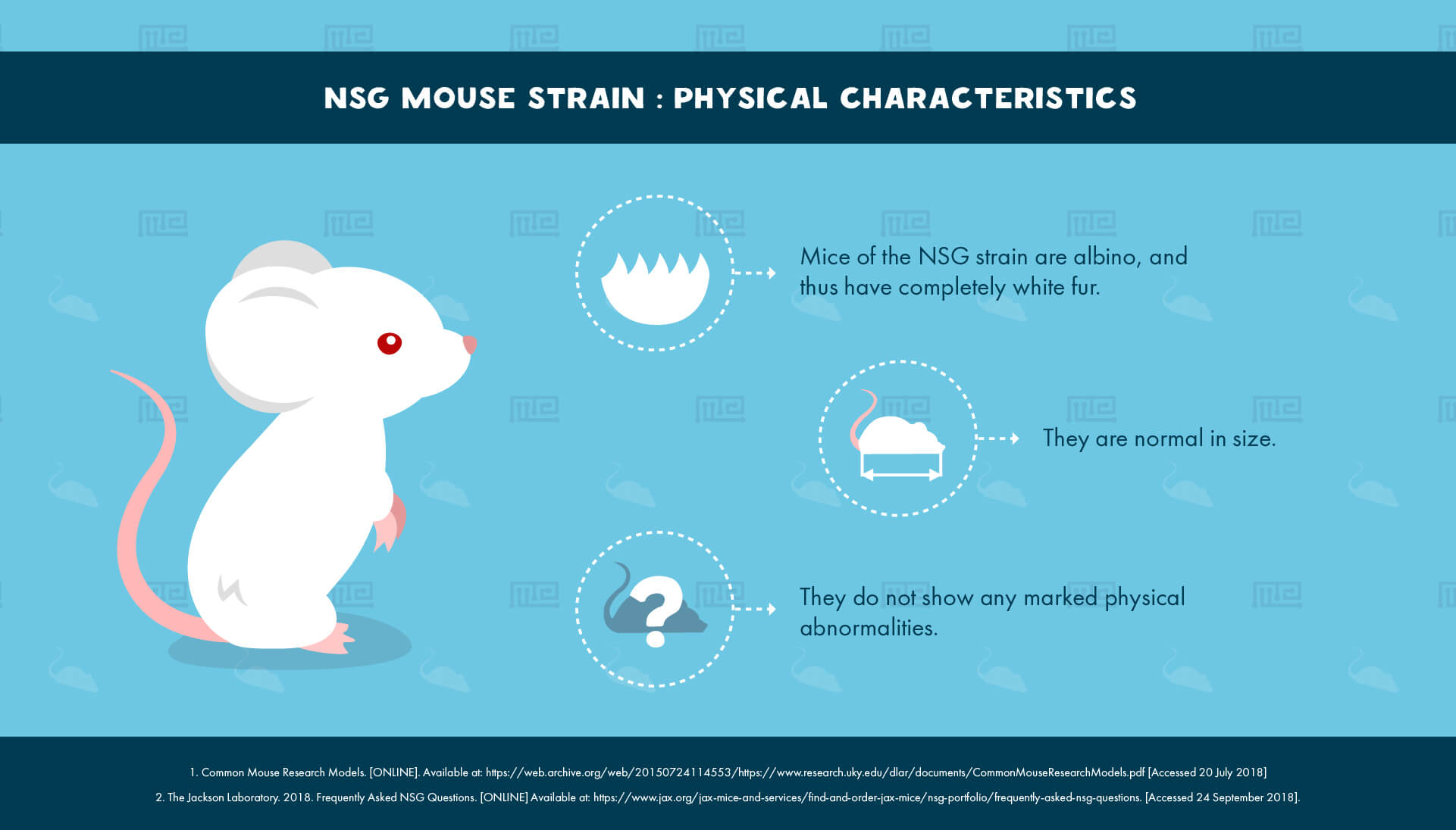 NSG Mouse Strain Physical Characteristics