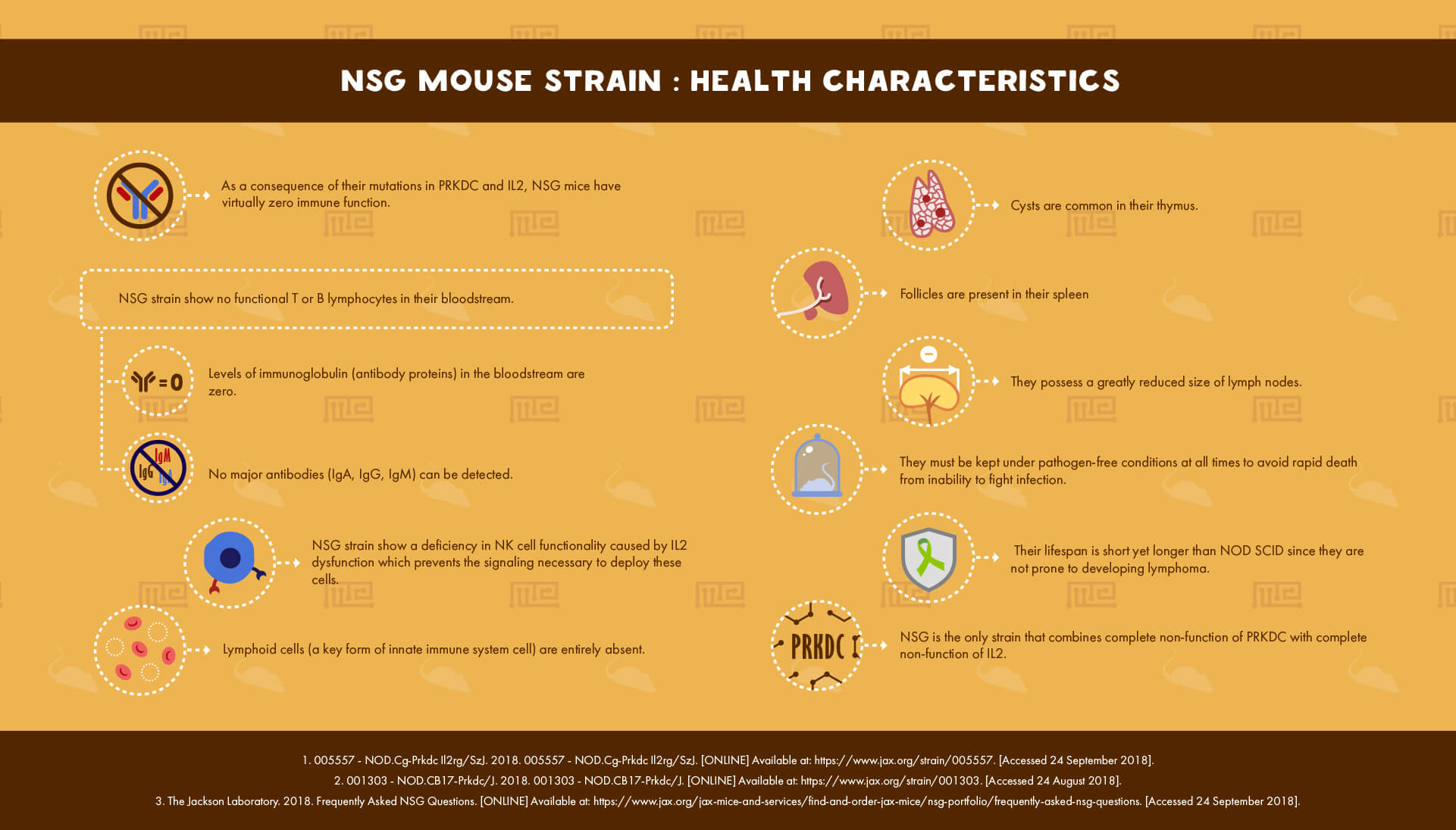NSG Mouse Strain health Characteristics
