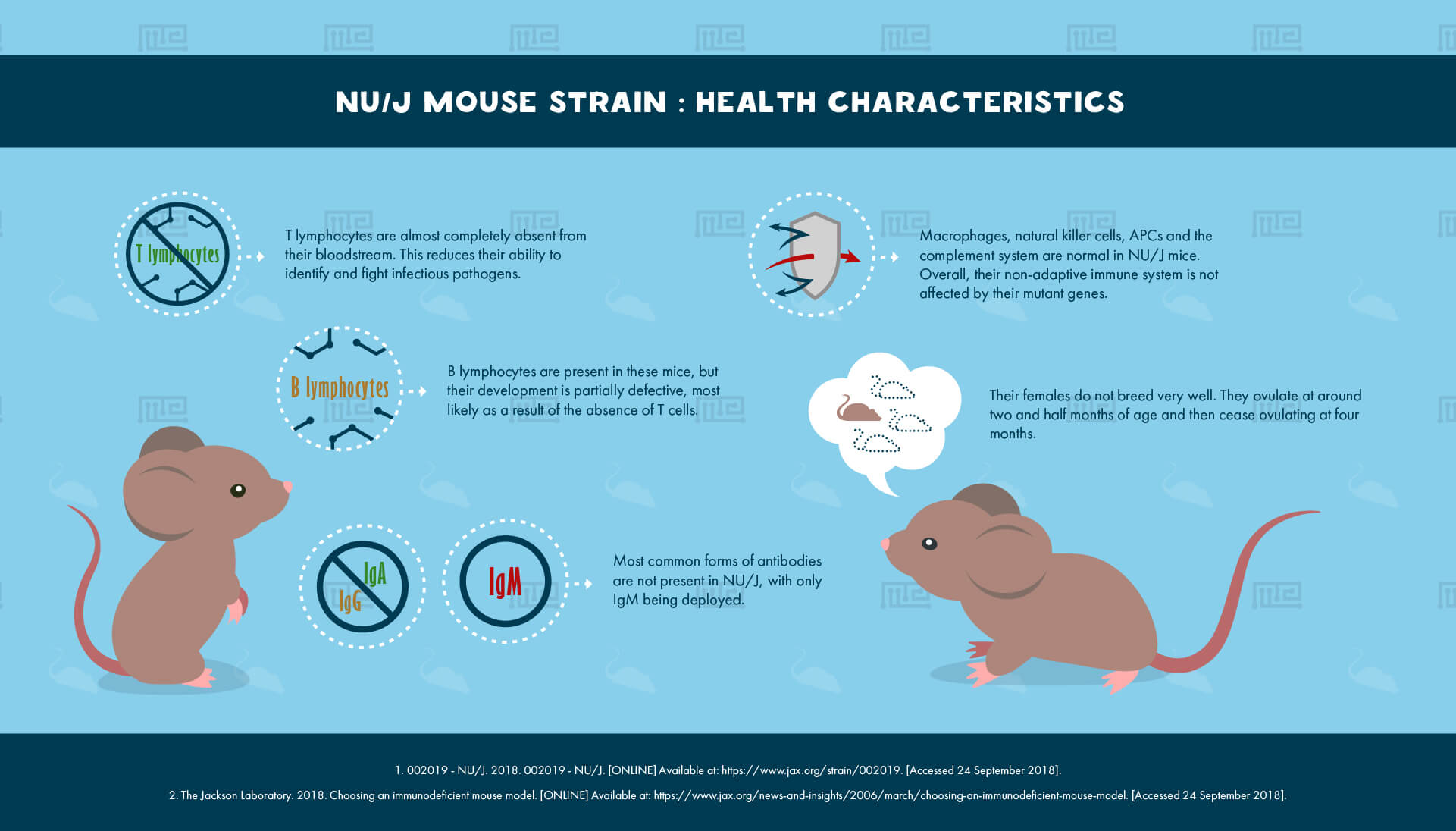 NU J Mouse Strain - health Characteristics