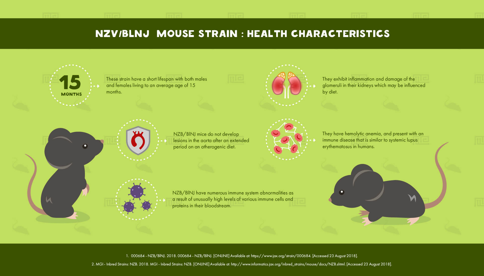 NZV_BlNJ Mouse Strain health Characteristics