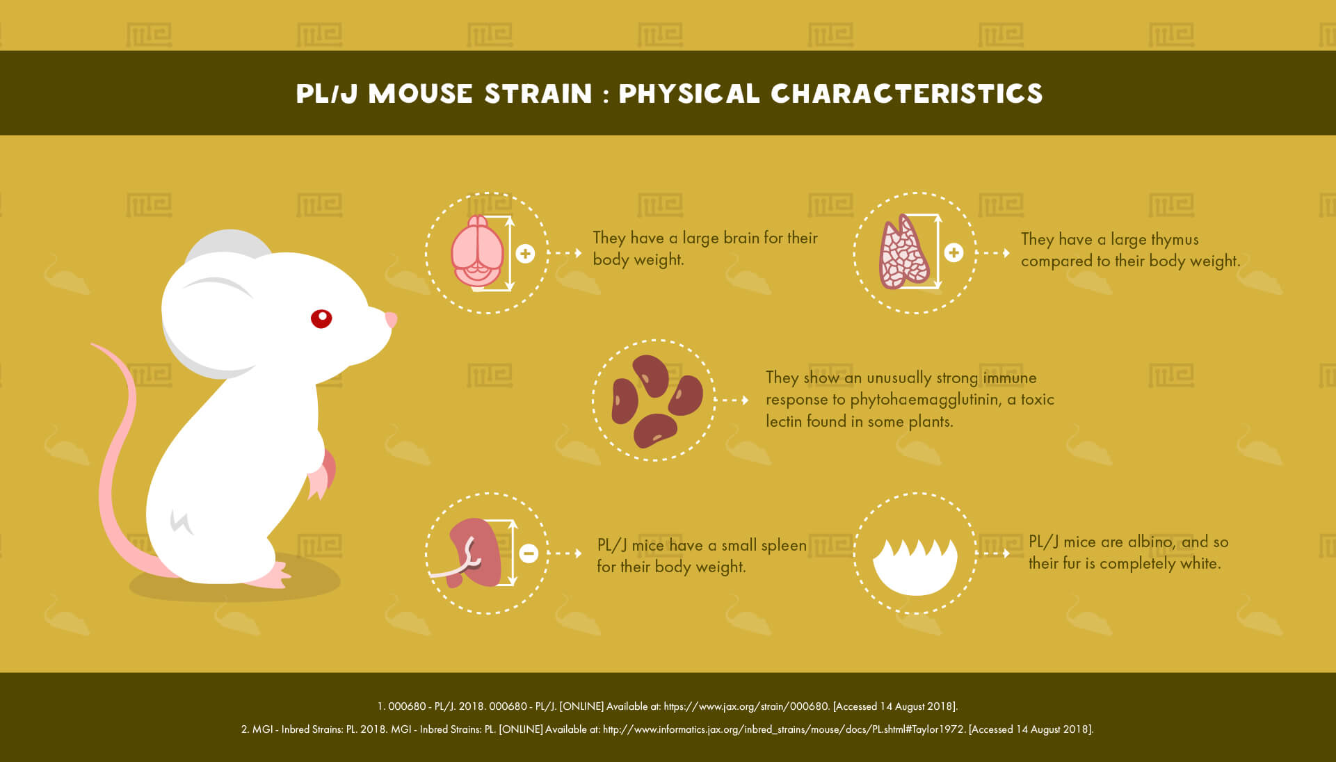 PL_J Physical Characteristics