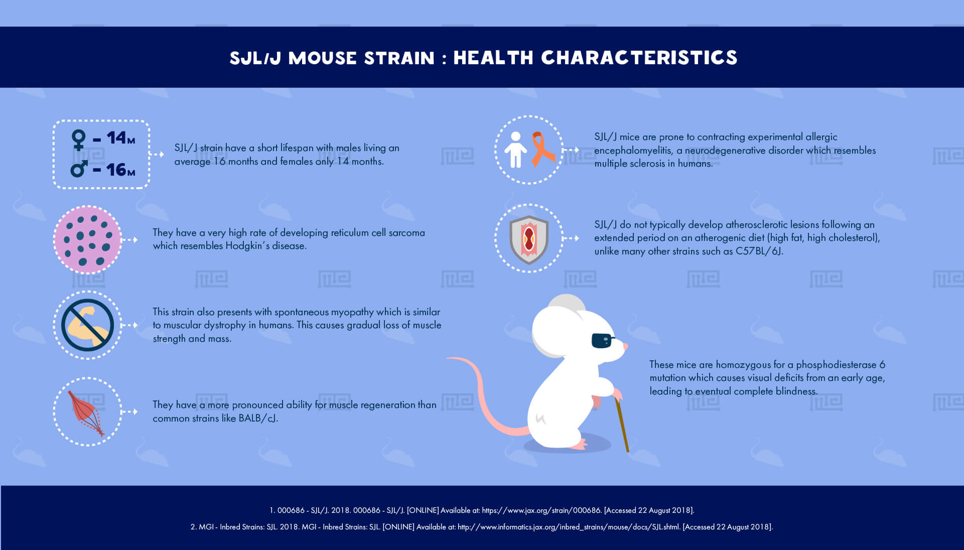 SJL J Mouse Strain - health Characteristics