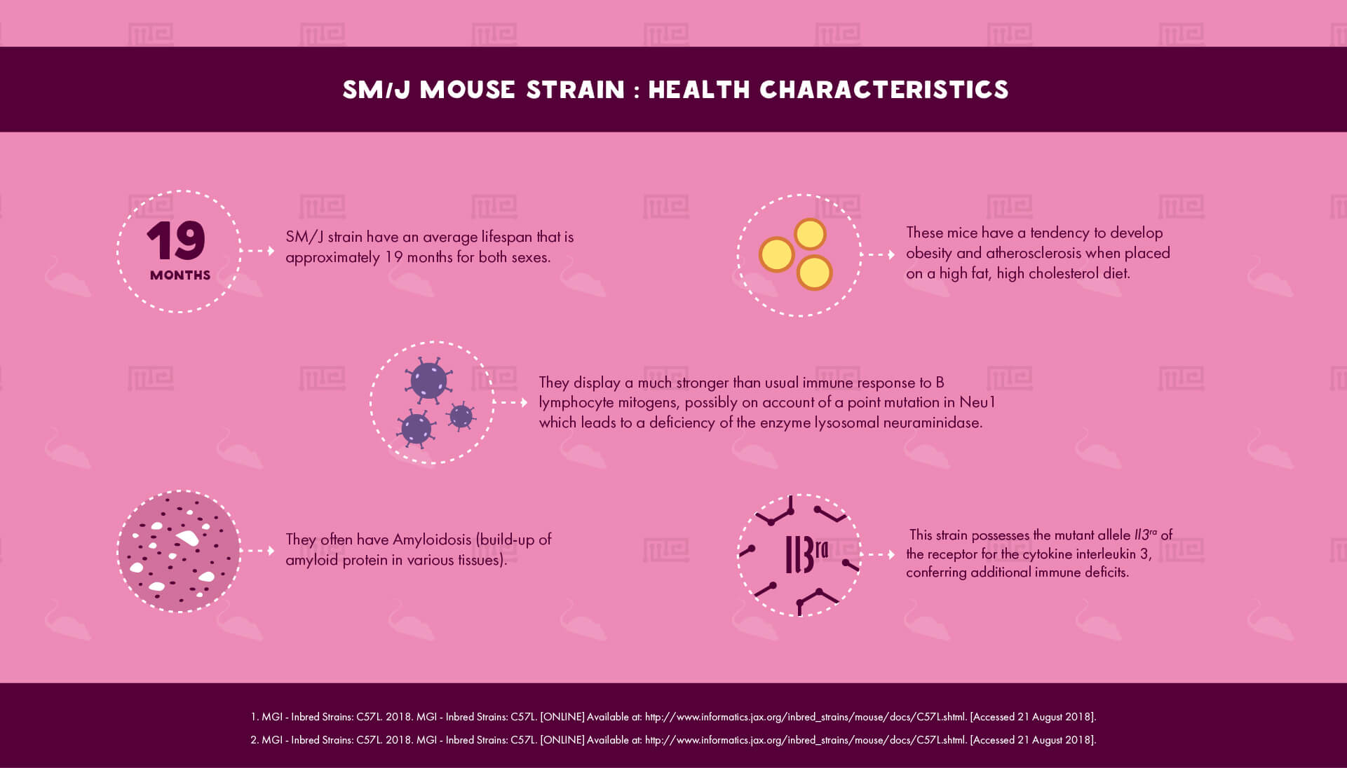 SM J Mouse Strain - health Characteristics