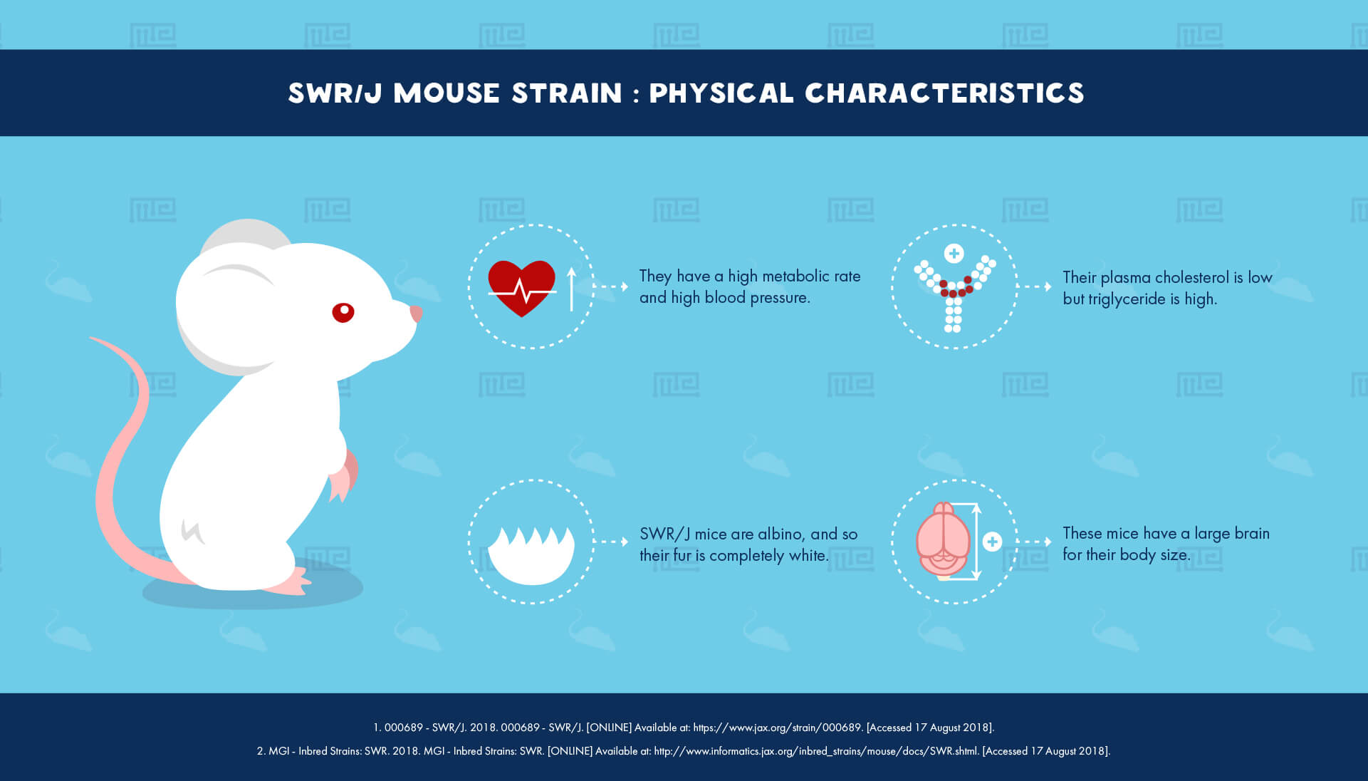 SWR J Mouse Strain - Physical Characteristics