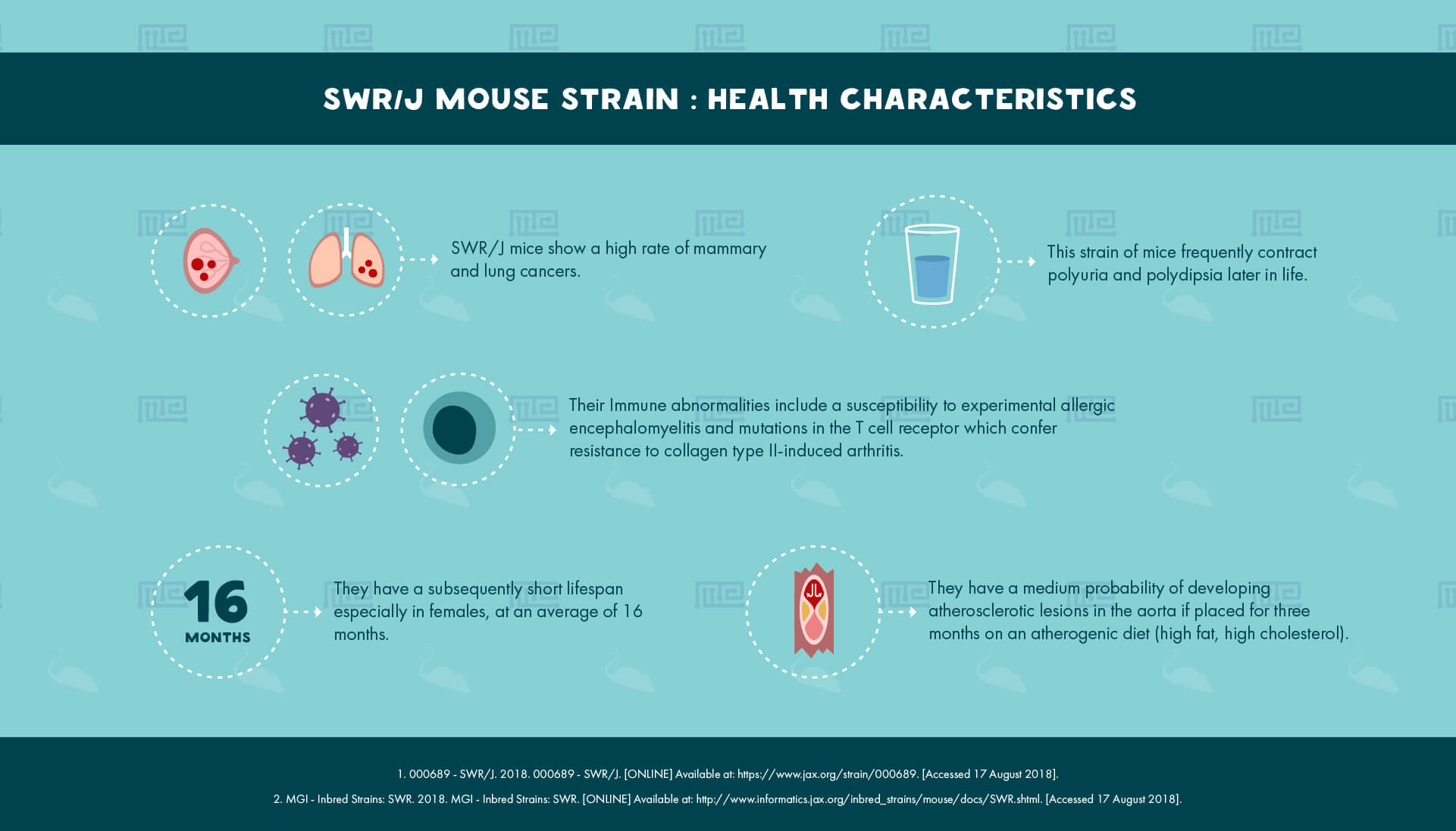 SWR J Mouse Strain - health Characteristics