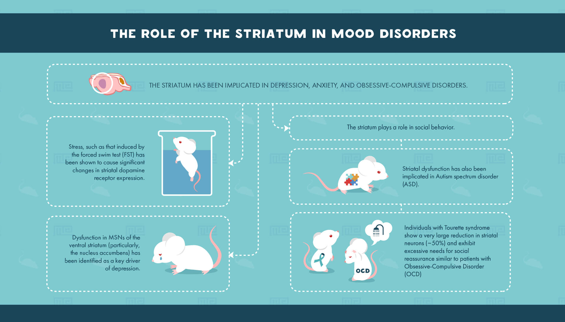 striatum and mood disorder