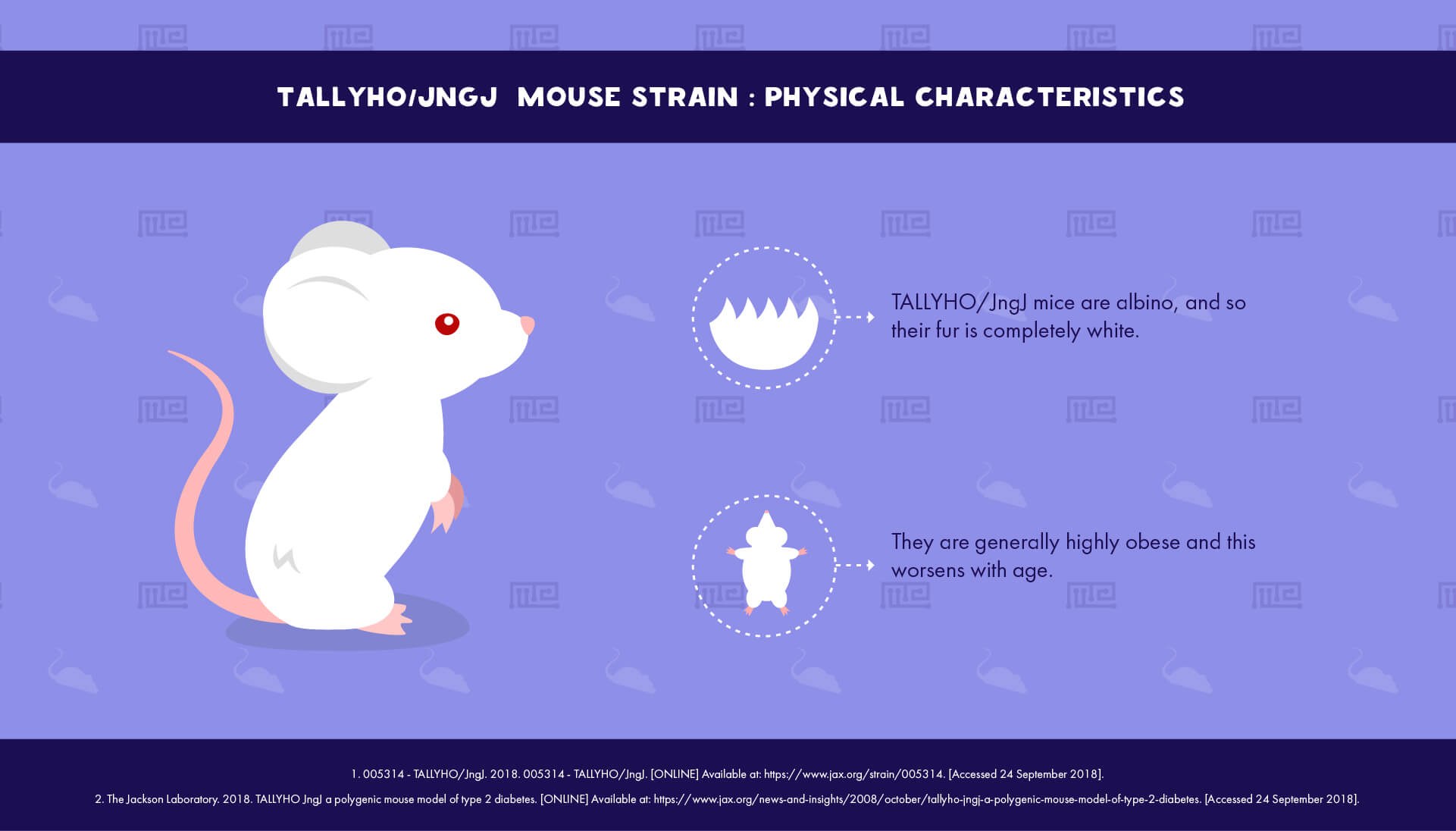 TALLYHO JngJ Mouse Strain - Physical Characteristics
