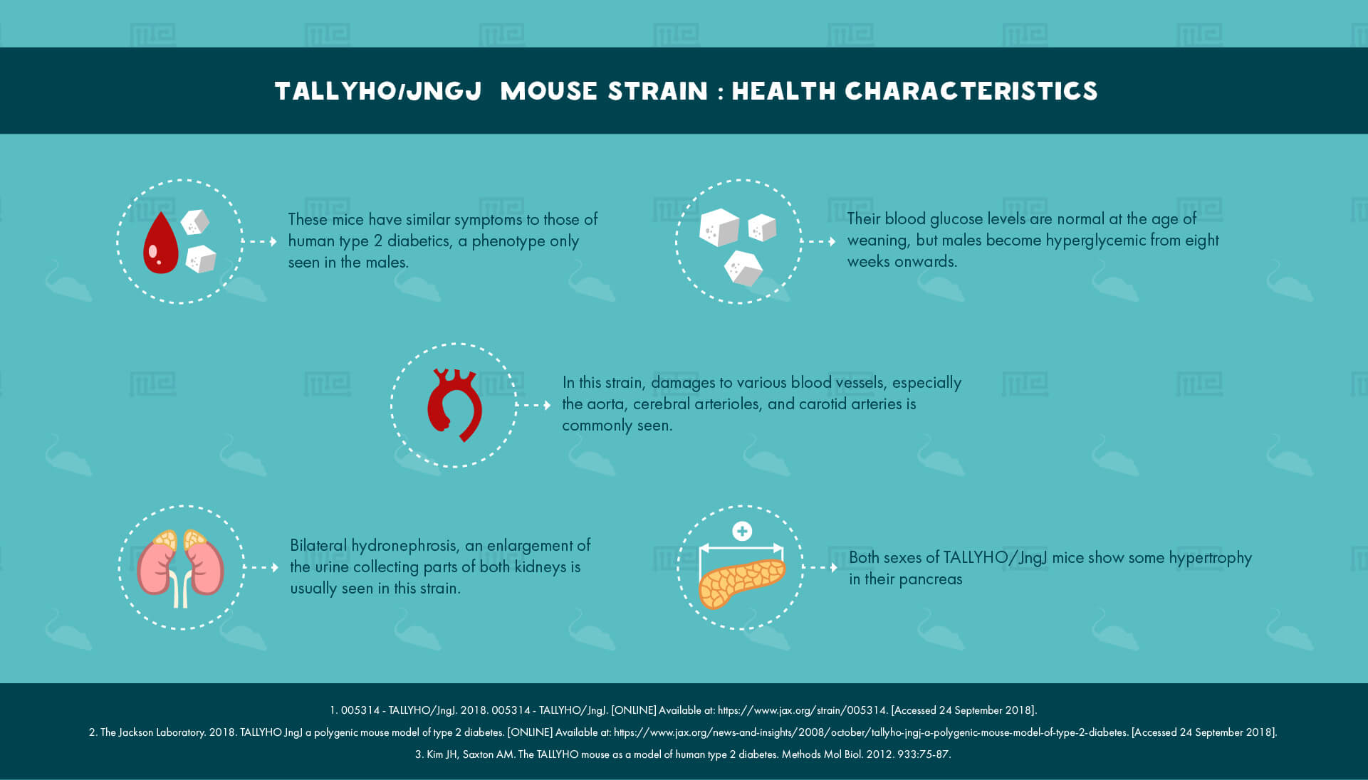 TALLYHO JngJ Mouse Strain - health Characteristics