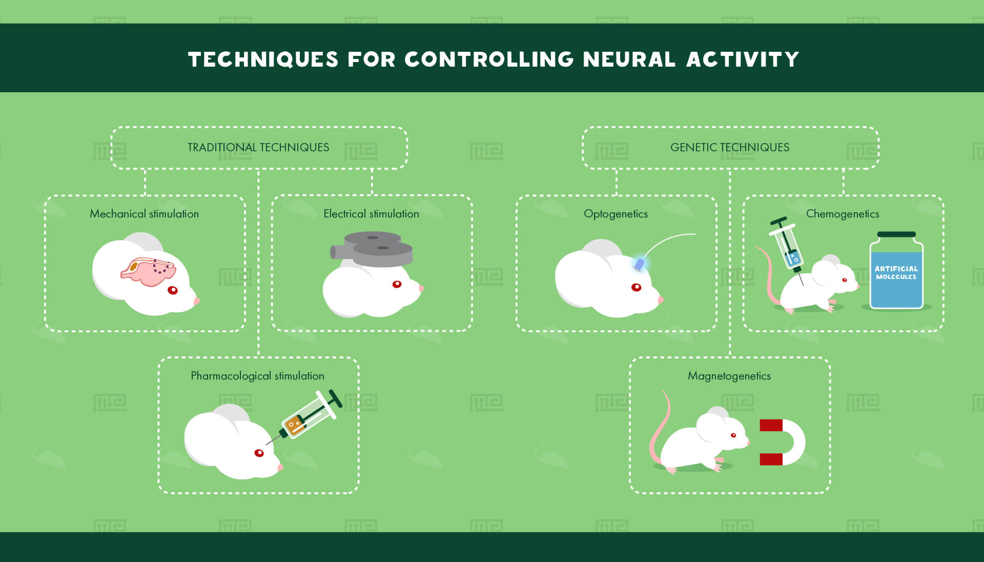 techniques for controlling neural circuit