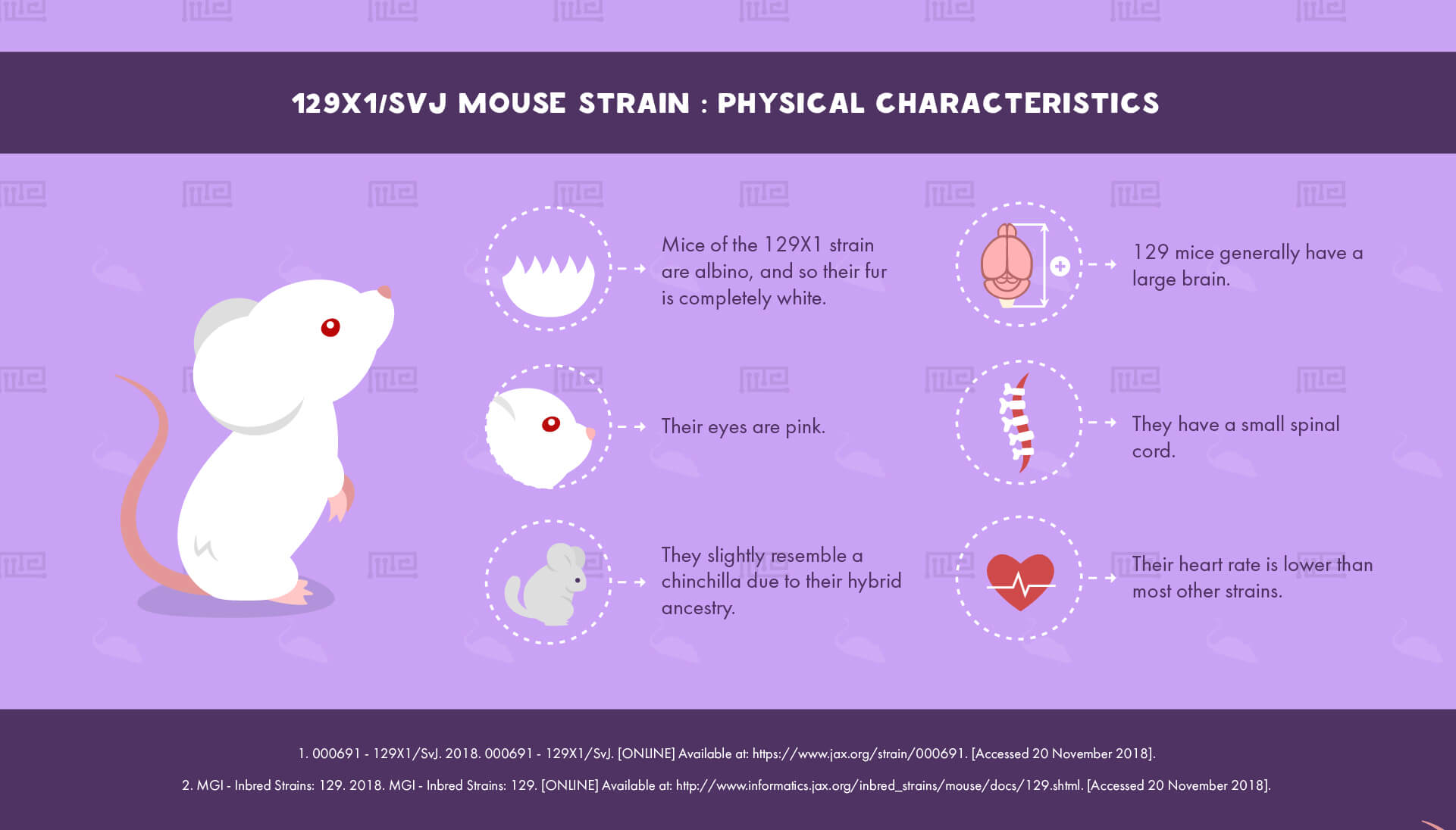1_129X1 SvJ Mouse Strain - Physical Characteristics