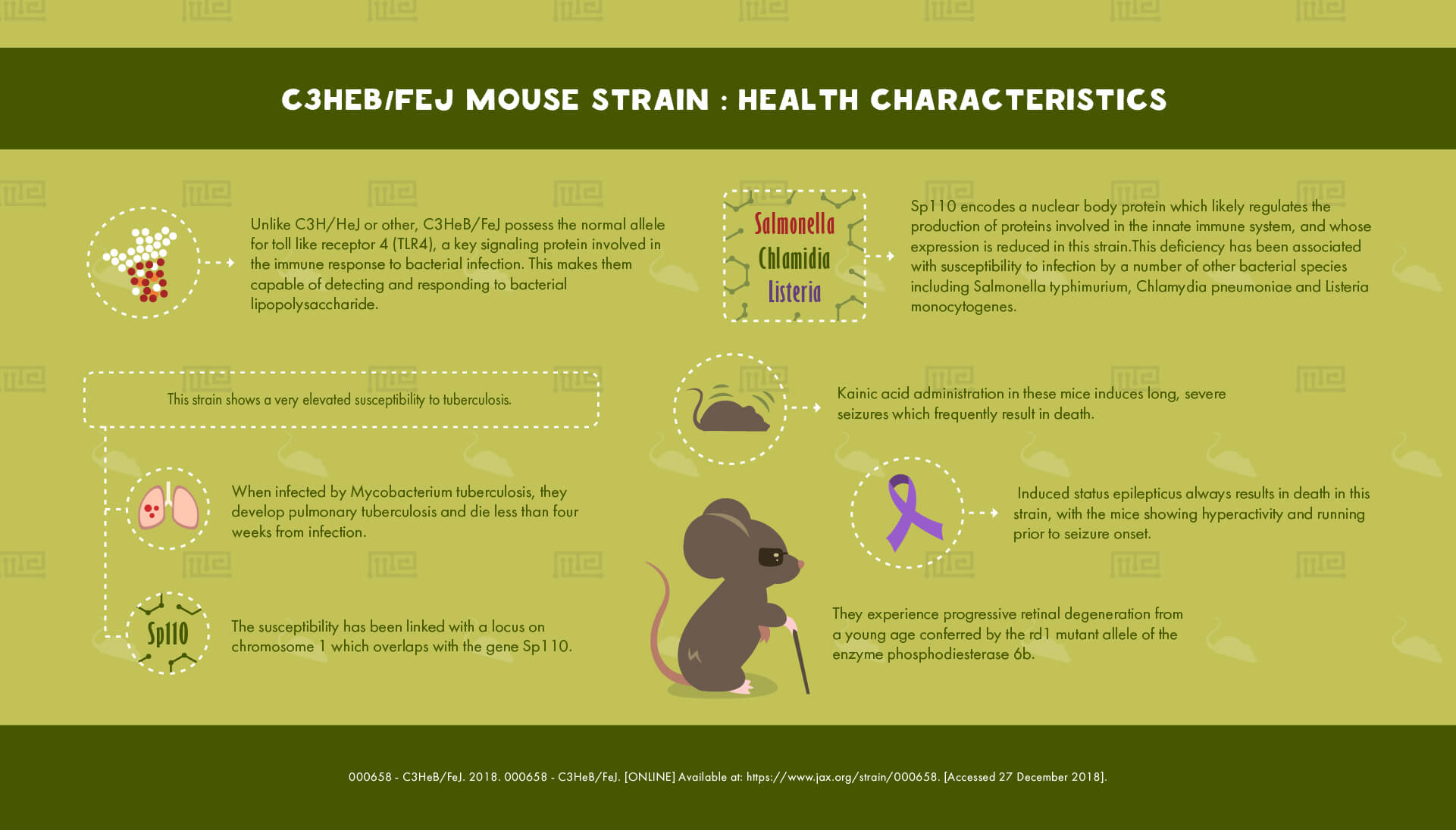 C3HeBFeJ Mouse Strain - Health Characteristics