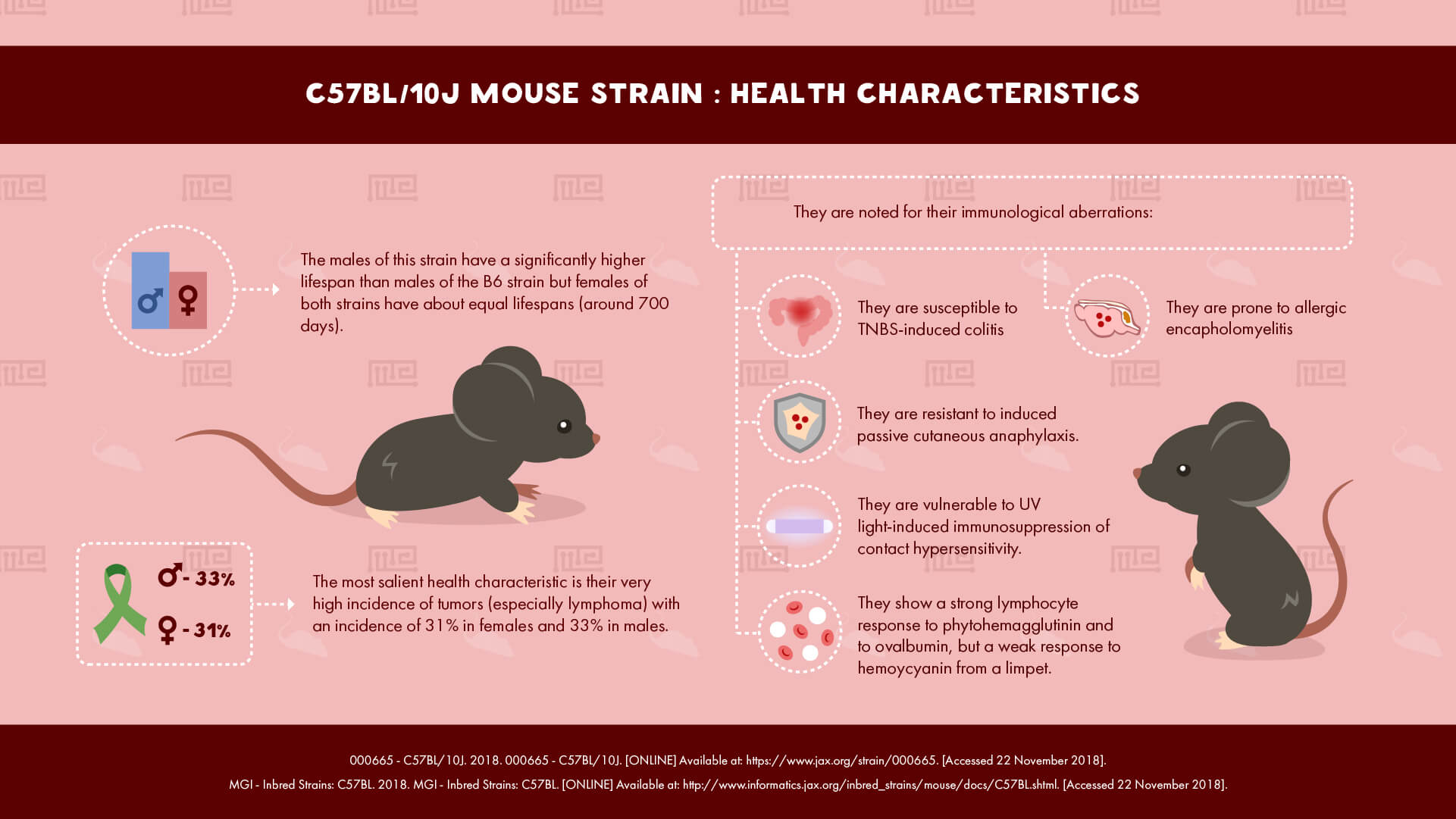 C57BL10J Mouse Strain - health Characteristics